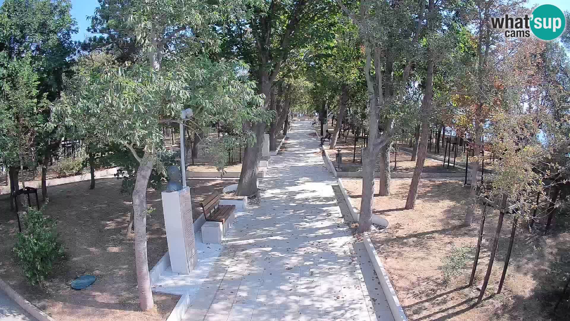 Webcam Parco degli Scrittori Segna – Diretta sul Mare