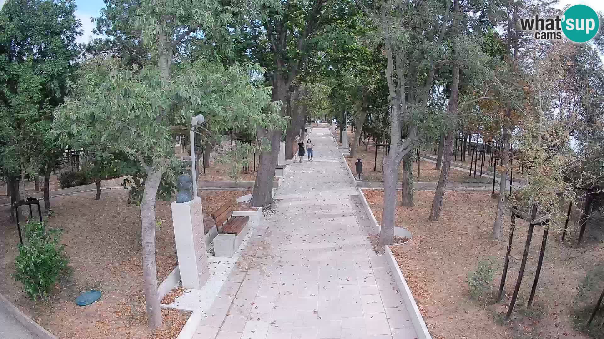 Webcam Parco degli Scrittori Segna – Diretta sul Mare