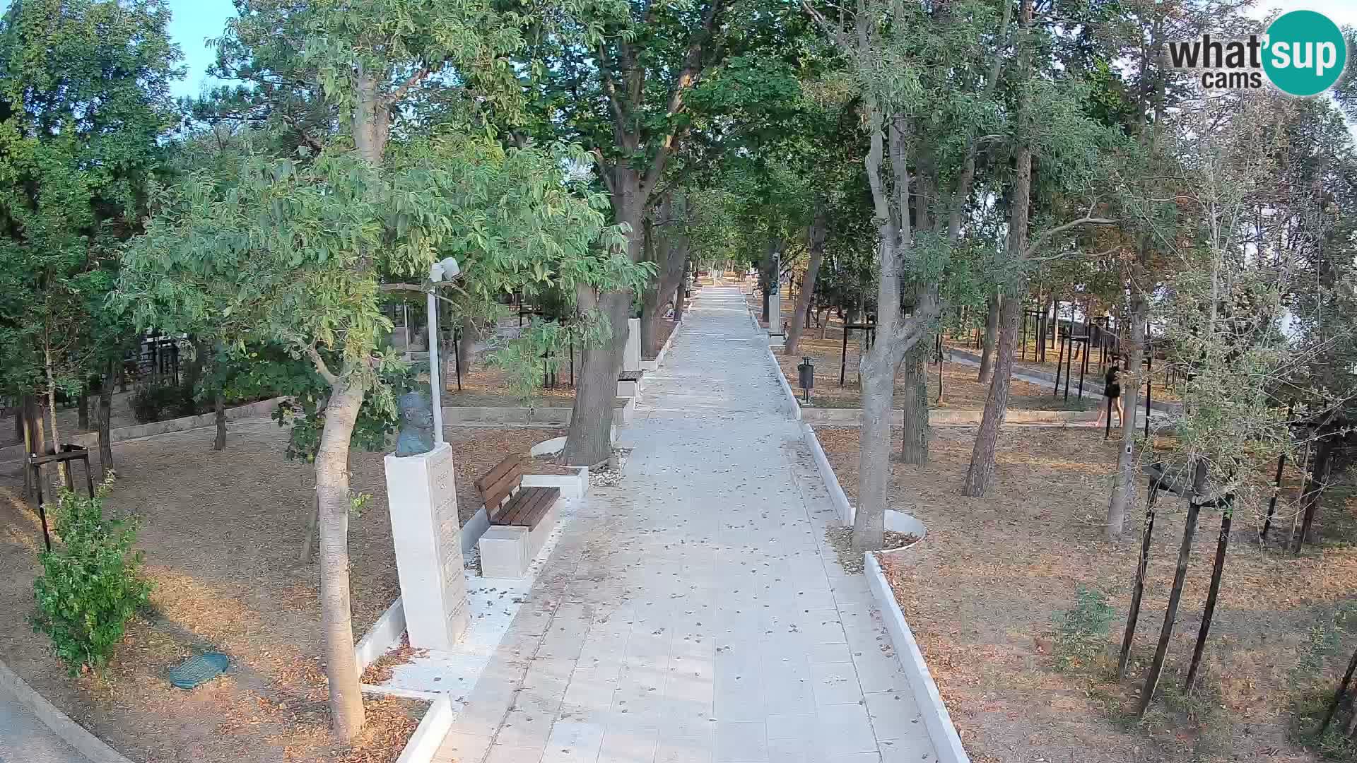 Webcam Parco degli Scrittori Segna – Diretta sul Mare