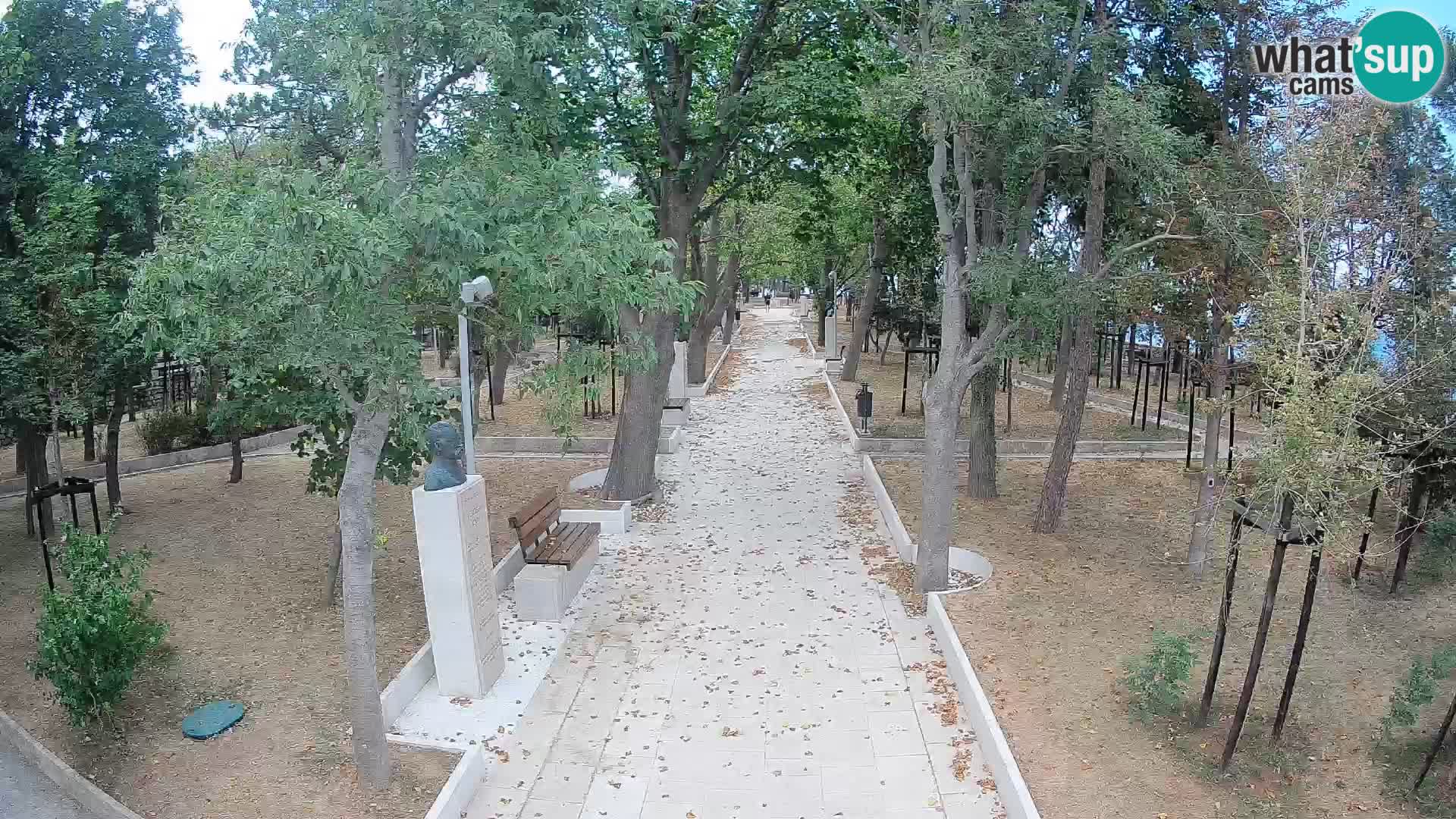 Webcam Parco degli Scrittori Segna – Diretta sul Mare