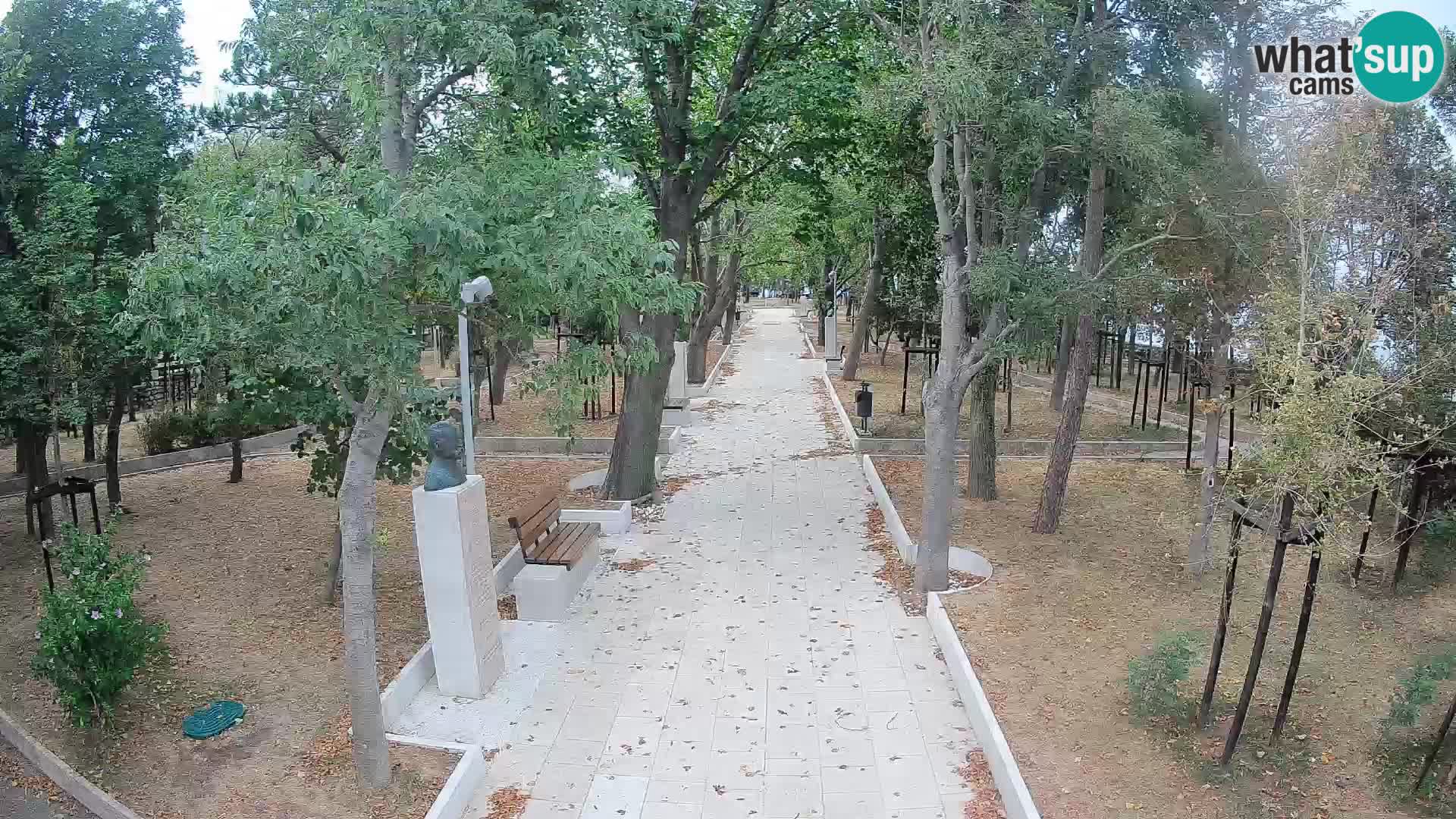 Webcam Parco degli Scrittori Segna – Diretta sul Mare