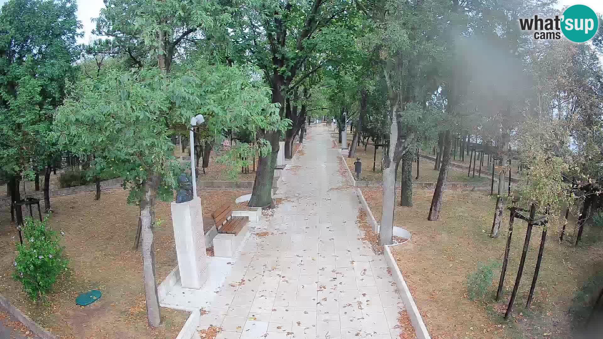 Webcam Parco degli Scrittori Segna – Diretta sul Mare