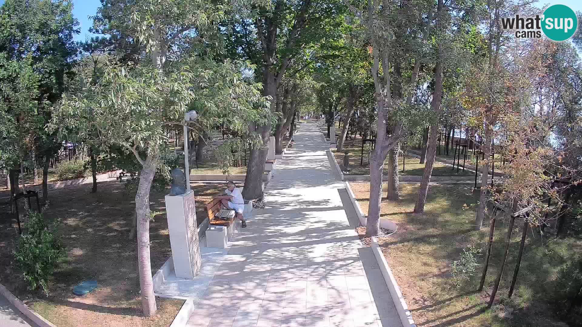 Webcam Parco degli Scrittori Segna – Diretta sul Mare