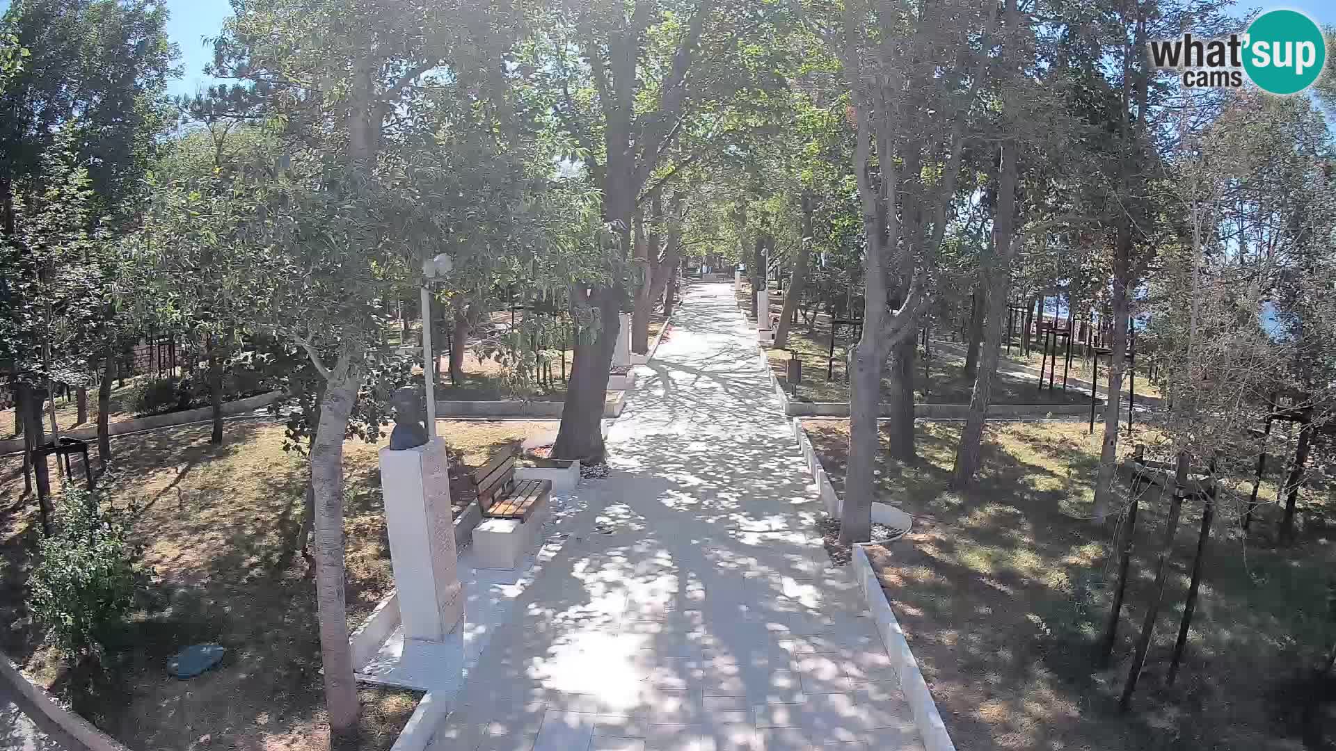 Webcam Parco degli Scrittori Segna – Diretta sul Mare