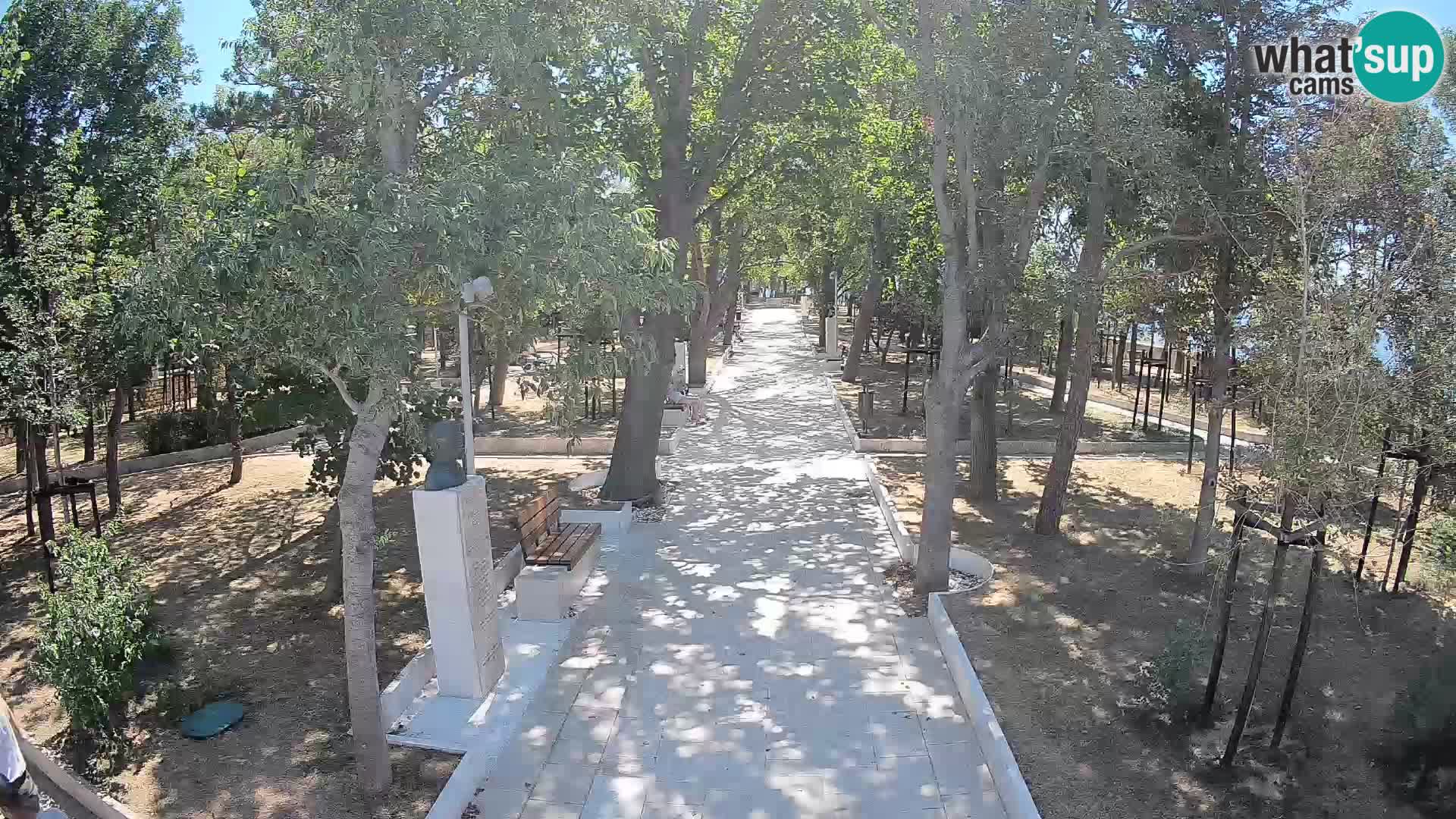 Webcam Parco degli Scrittori Segna – Diretta sul Mare