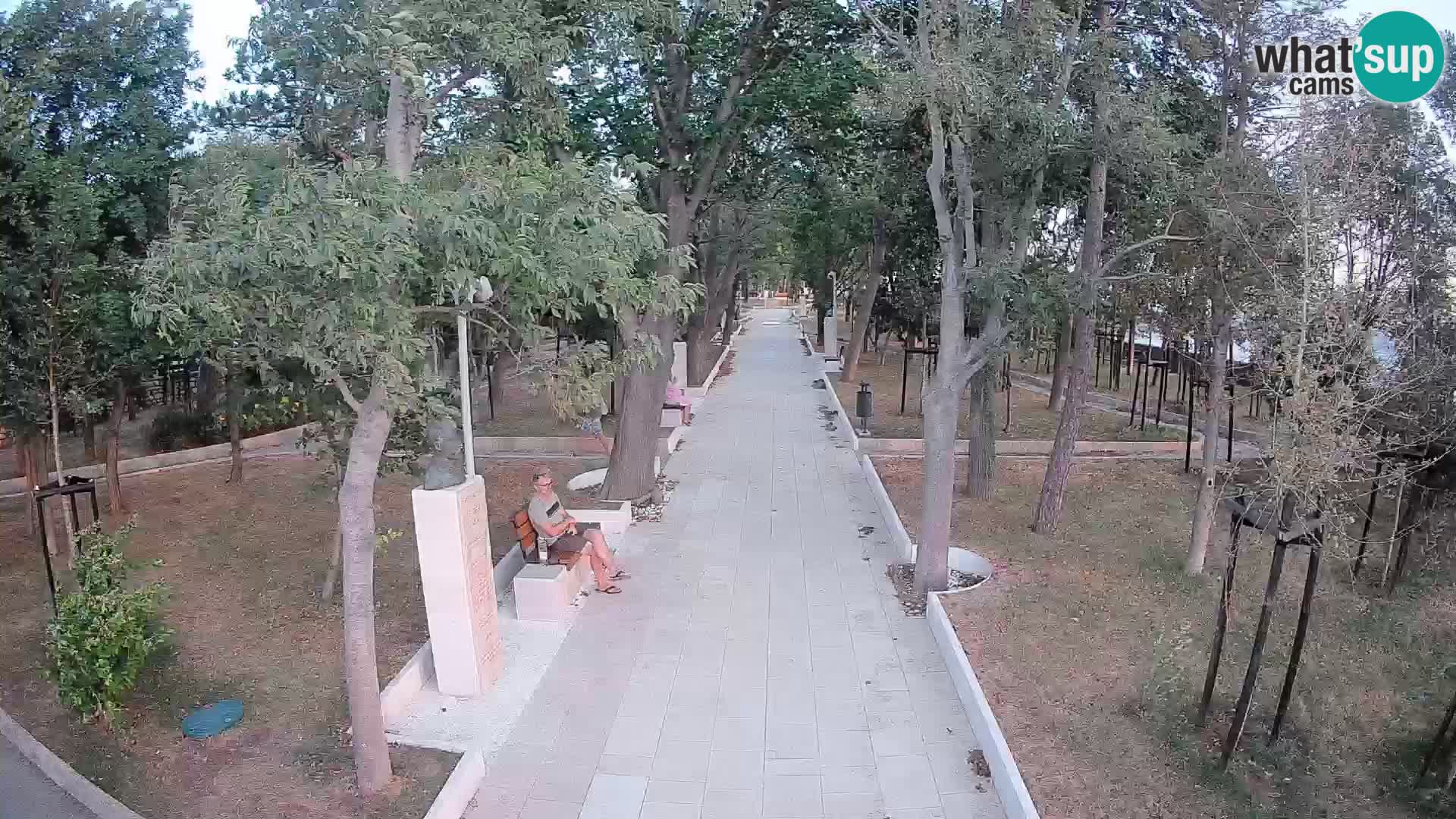 Webcam Parco degli Scrittori Segna – Diretta sul Mare