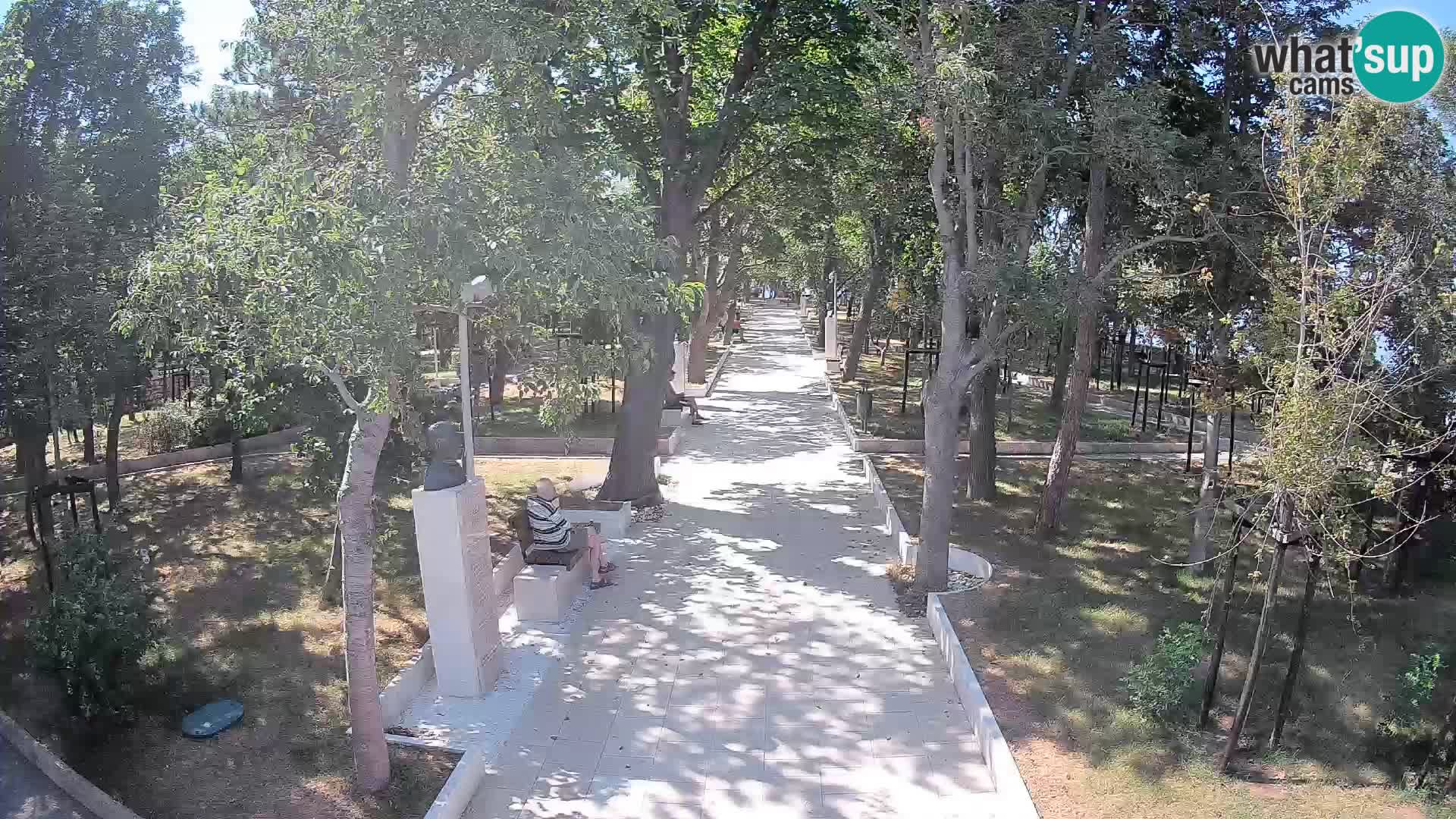 Webcam Schriftstellerpark Senj – Live am Meer