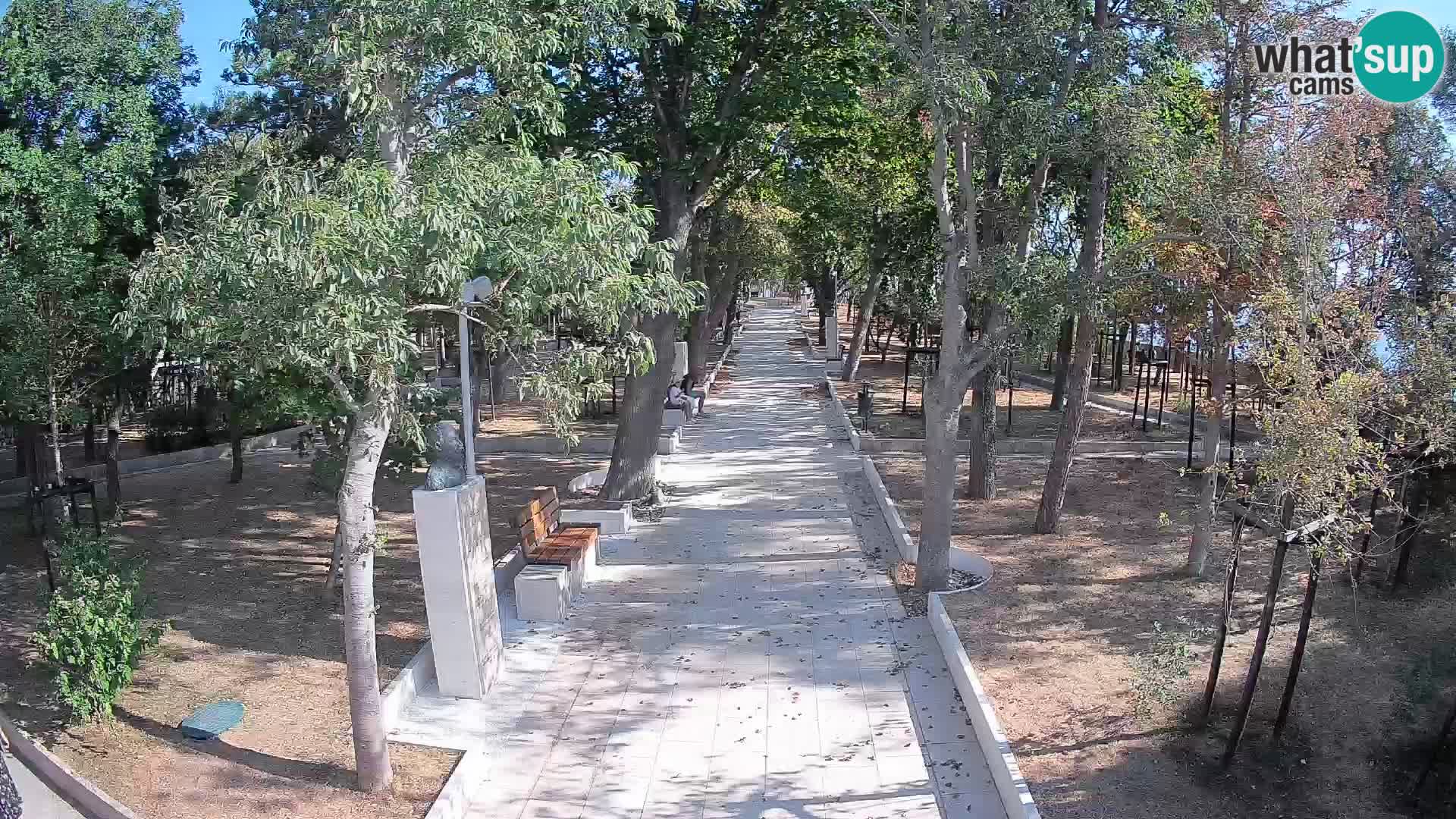 Webcam Parco degli Scrittori Segna – Diretta sul Mare