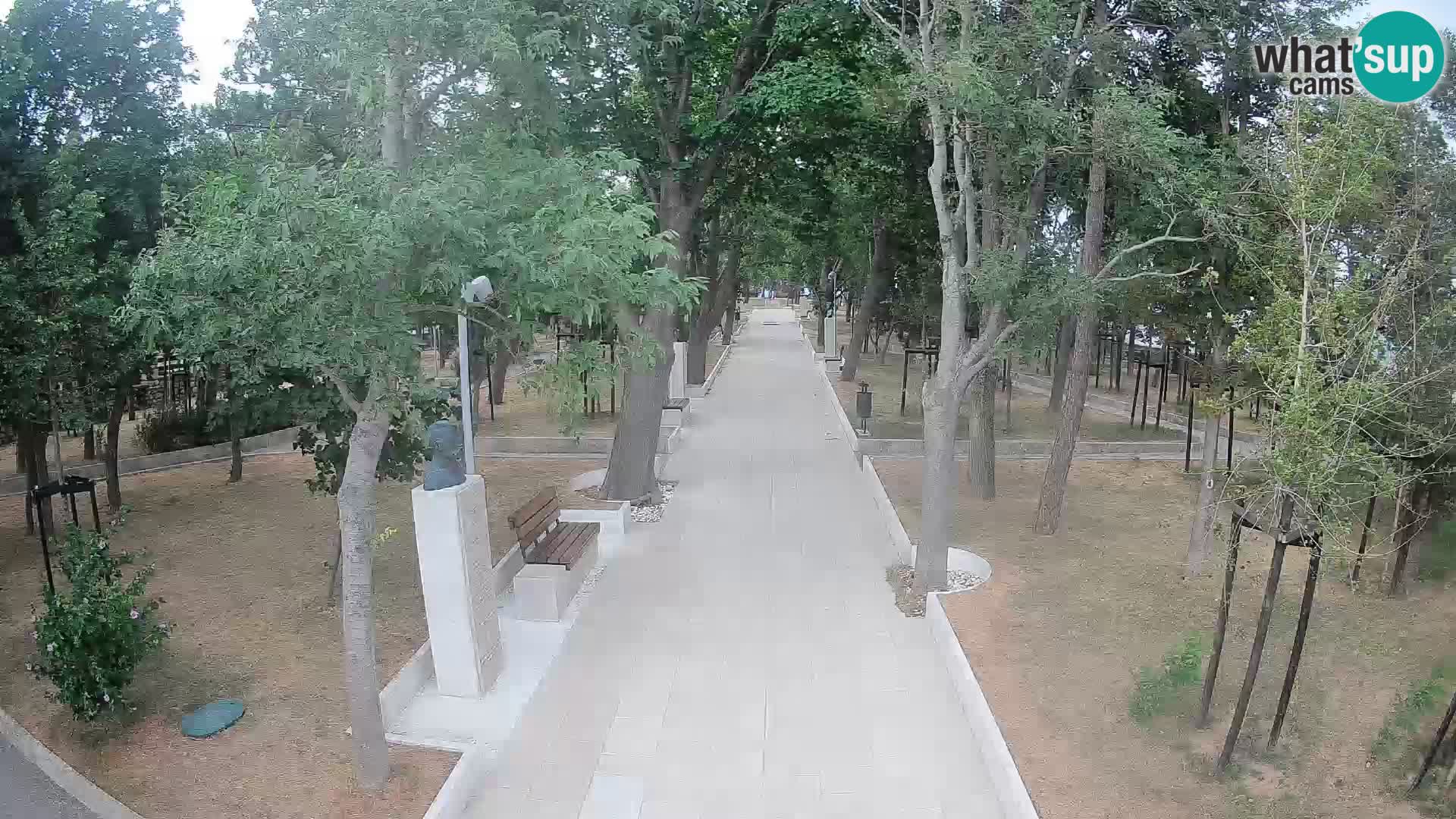Webcam Parco degli Scrittori Segna – Diretta sul Mare