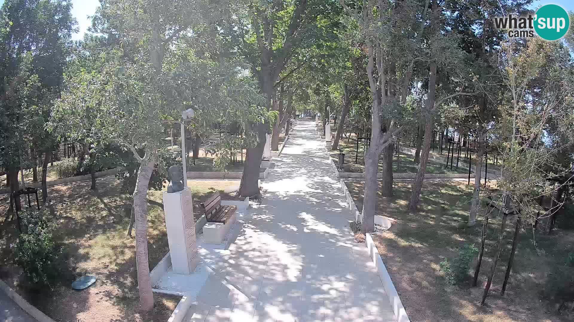 Webcam Parco degli Scrittori Segna – Diretta sul Mare