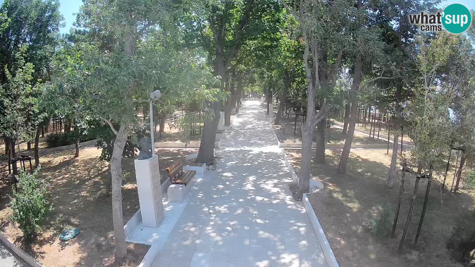 Webcam Parco degli Scrittori Segna – Diretta sul Mare
