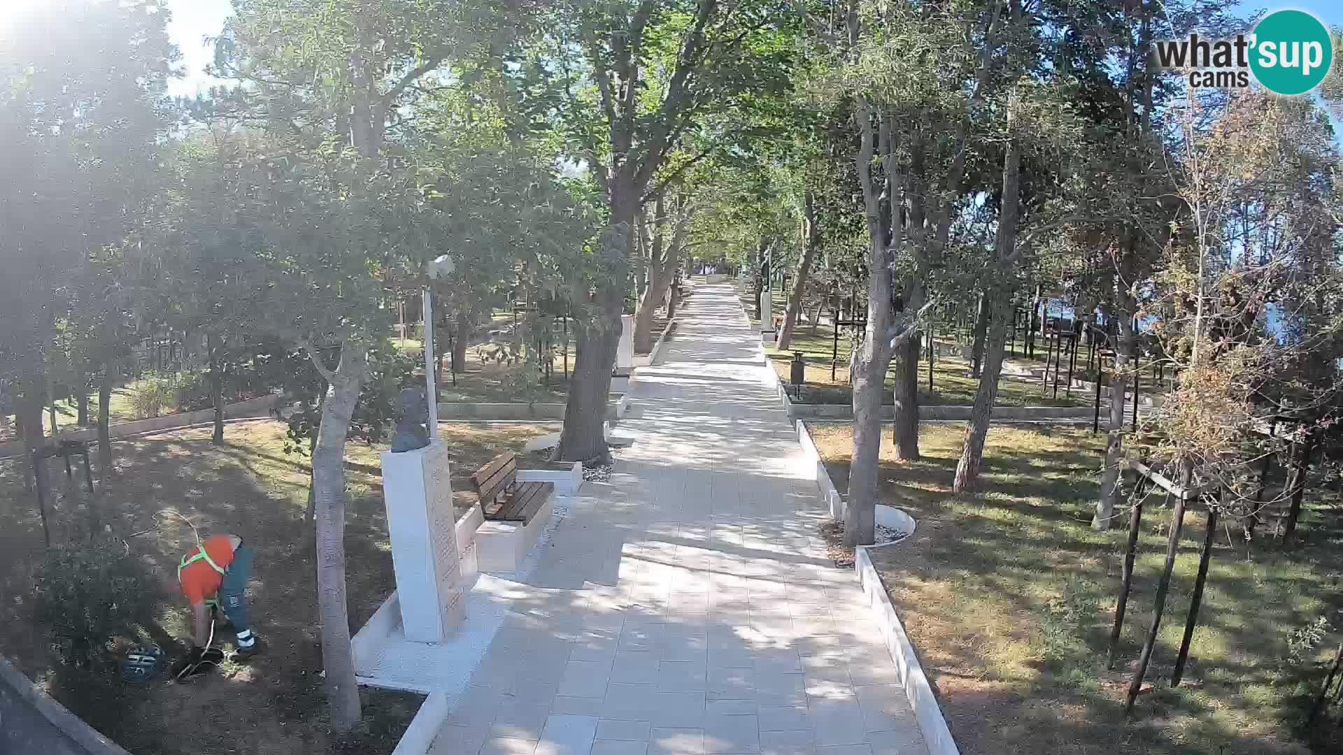 Webcam Parco degli Scrittori Segna – Diretta sul Mare