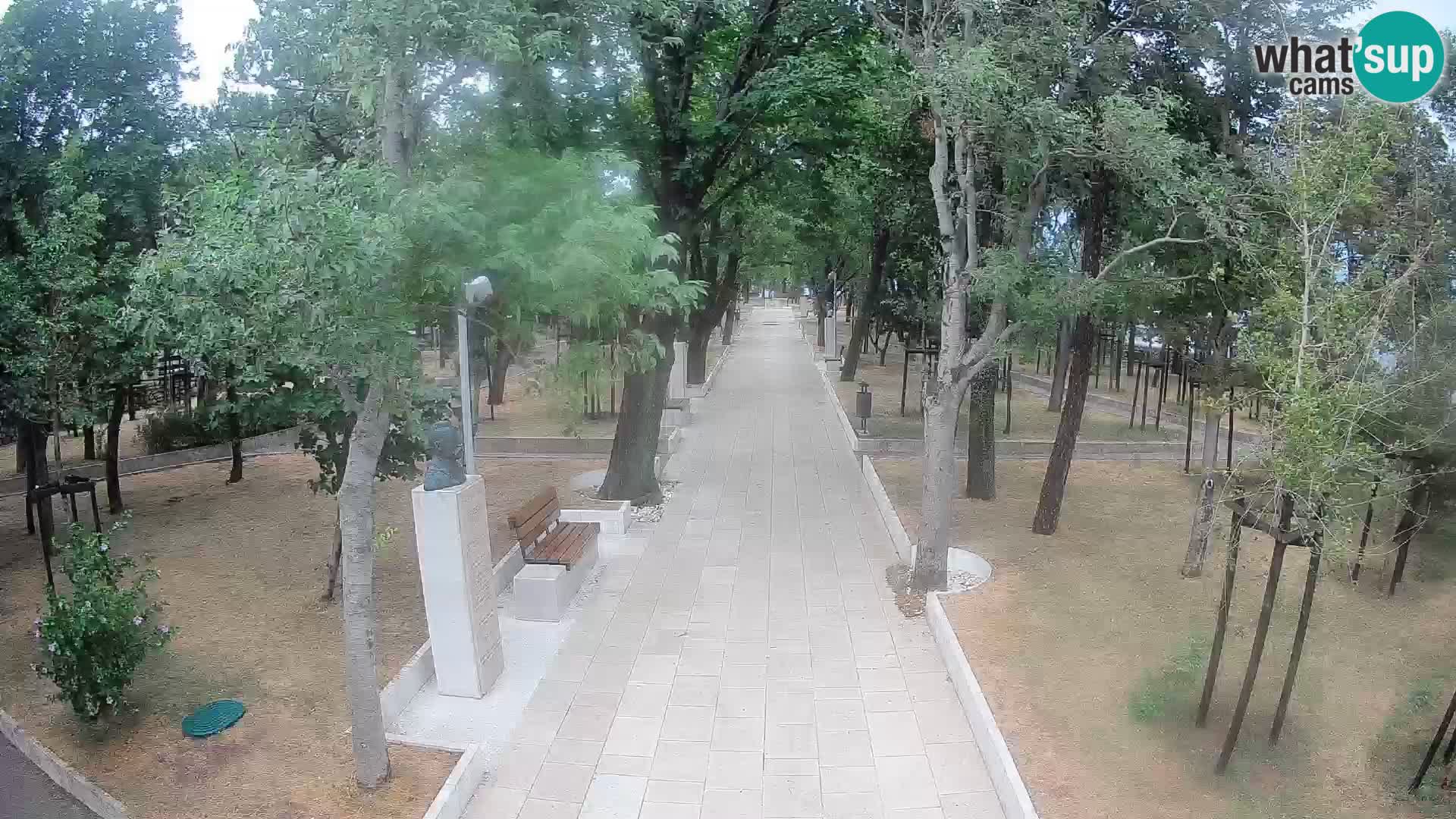Webcam Parco degli Scrittori Segna – Diretta sul Mare