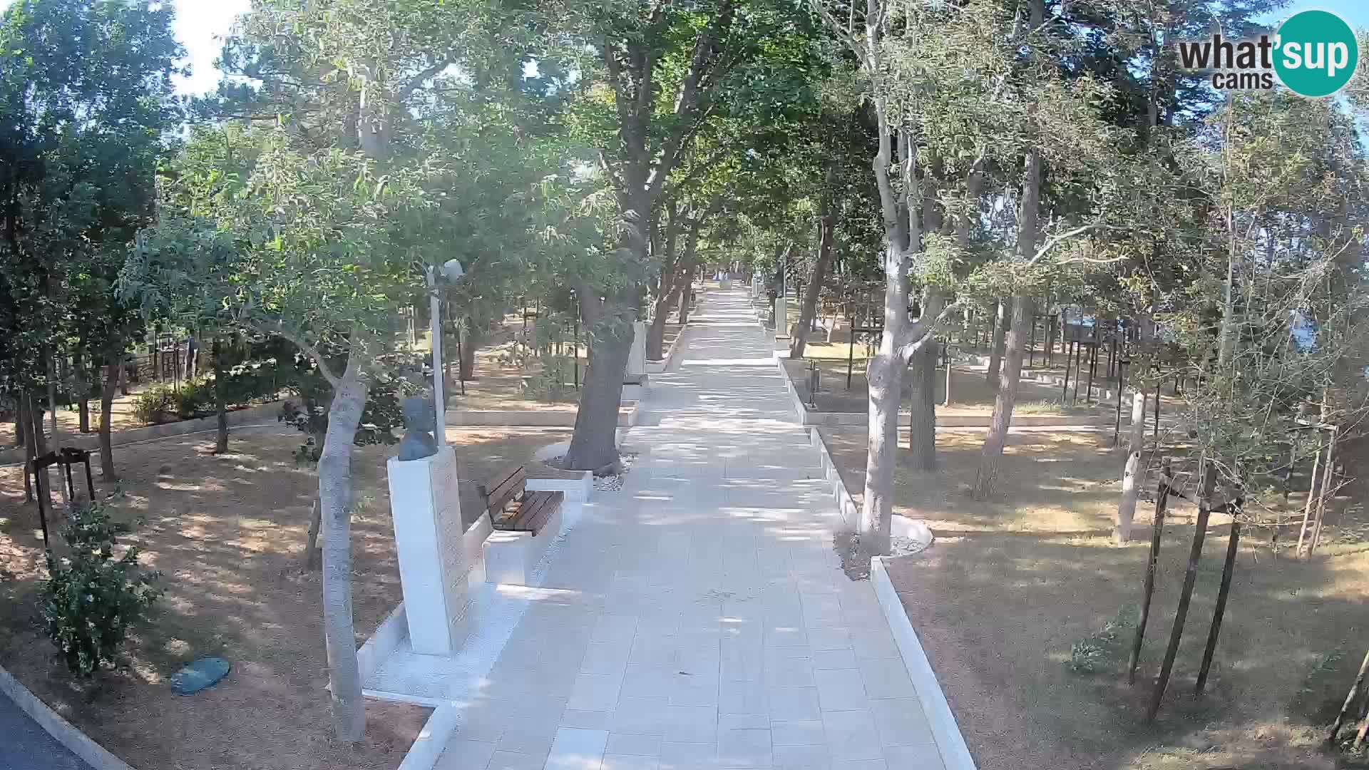 Webcam Parco degli Scrittori Segna – Diretta sul Mare