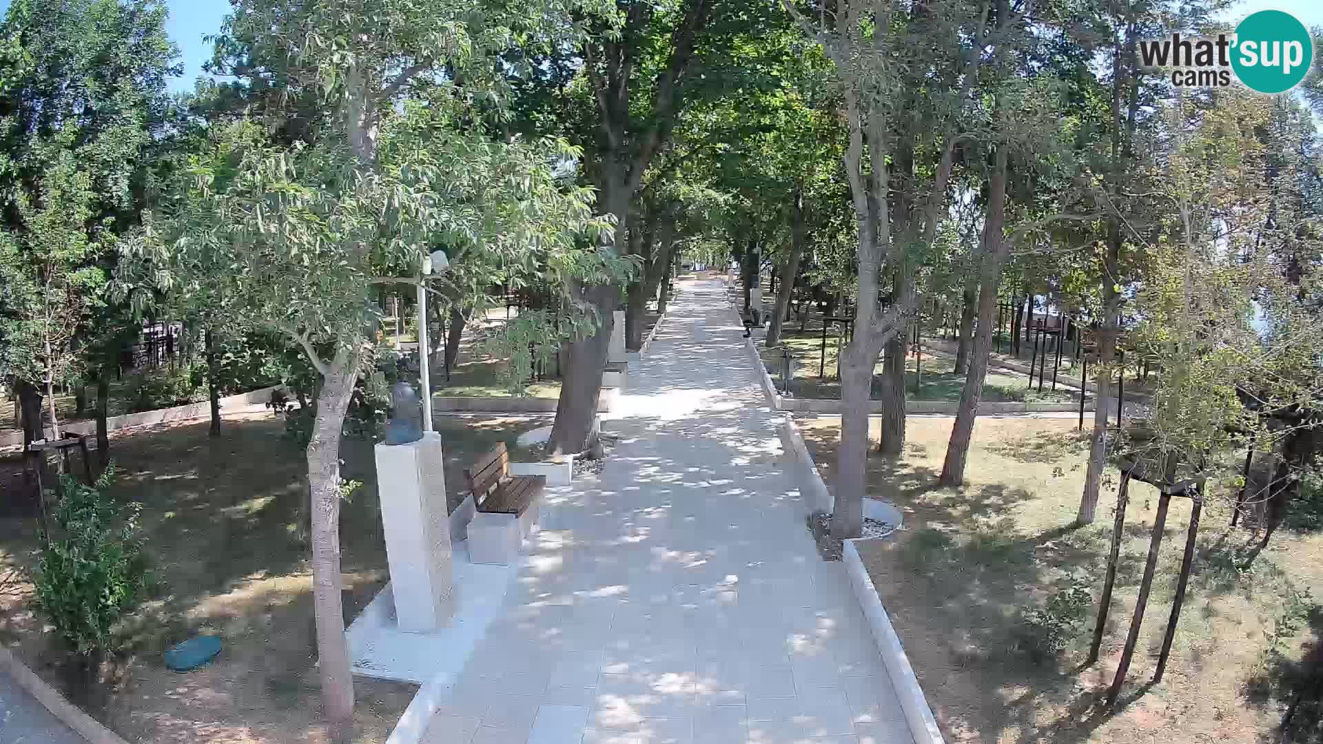 Webcam Parco degli Scrittori Segna – Diretta sul Mare