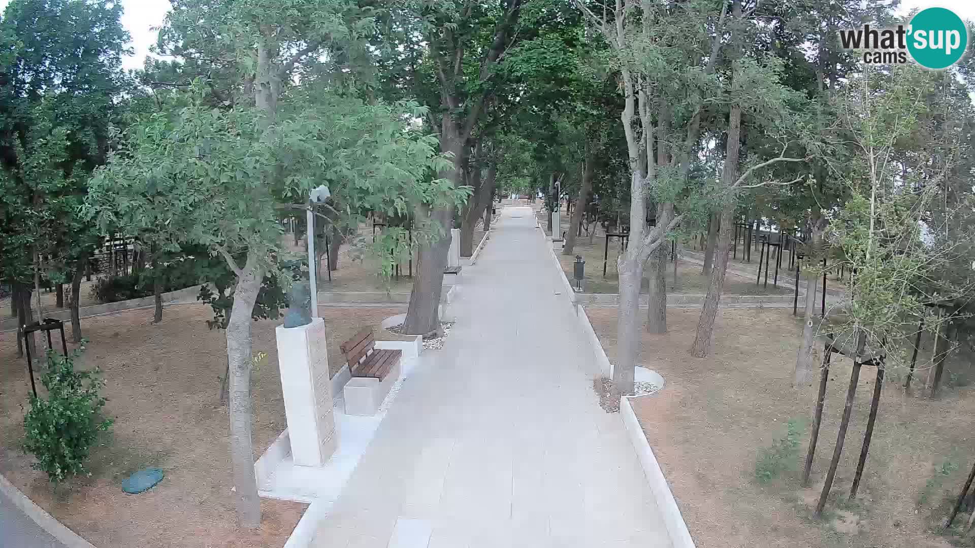 Webcam Parco degli Scrittori Segna – Diretta sul Mare