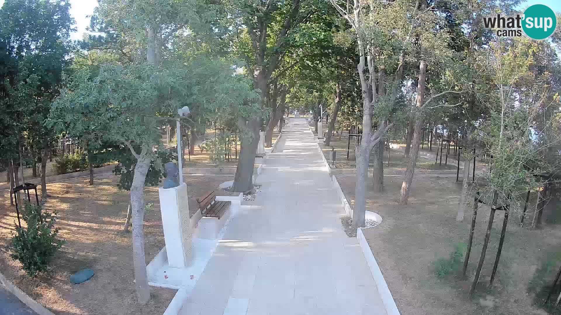 Webcam Parco degli Scrittori Segna – Diretta sul Mare