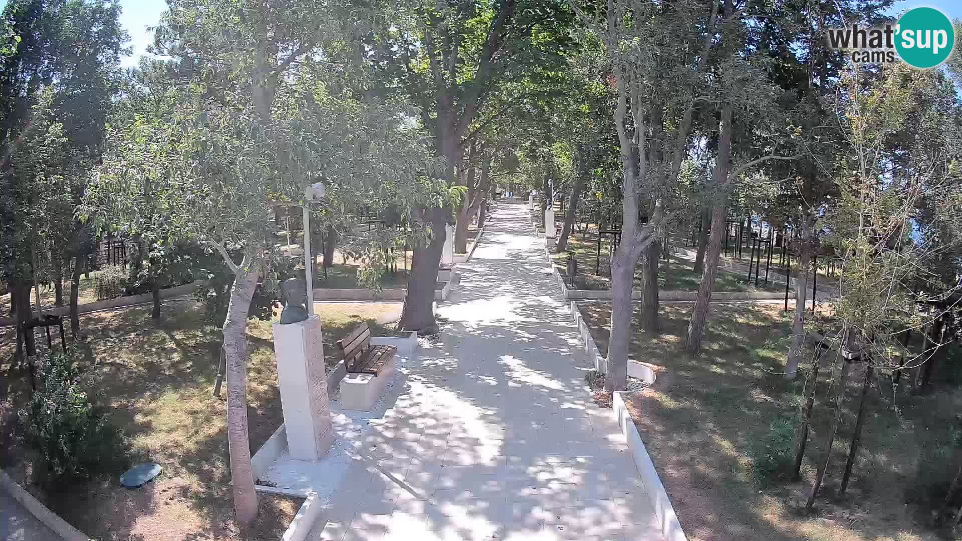 Webcam Parco degli Scrittori Segna – Diretta sul Mare