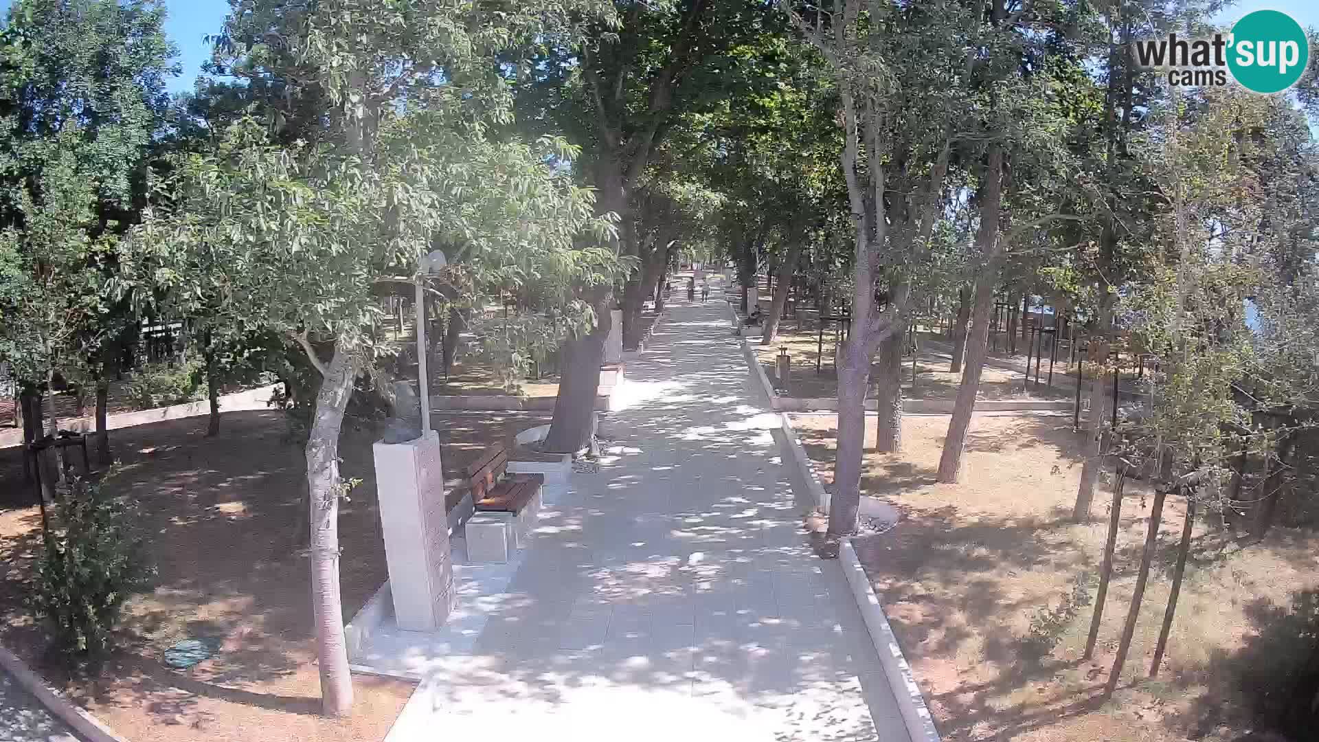 Webcam Parco degli Scrittori Segna – Diretta sul Mare
