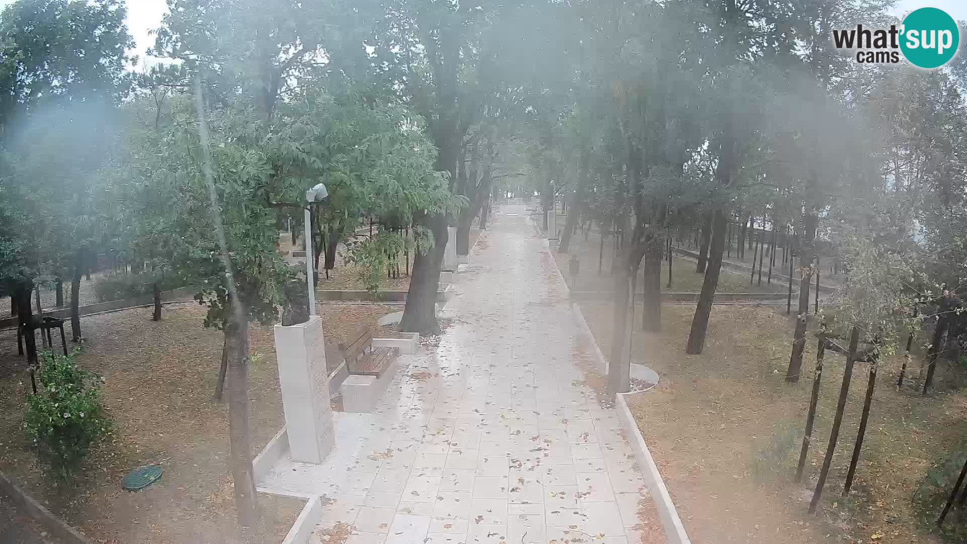 Webcam Parco degli Scrittori Segna – Diretta sul Mare