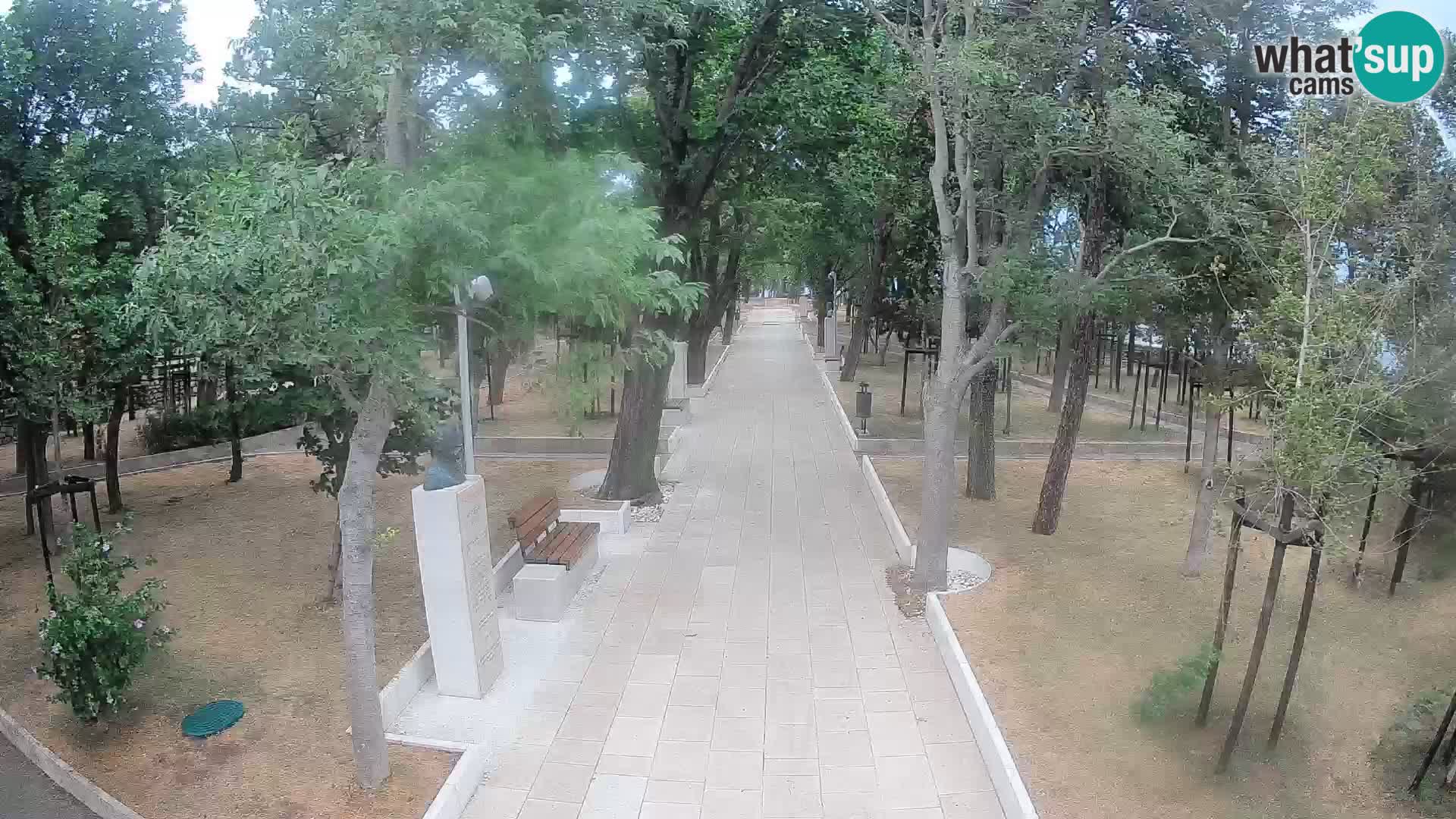 Webcam Parco degli Scrittori Segna – Diretta sul Mare