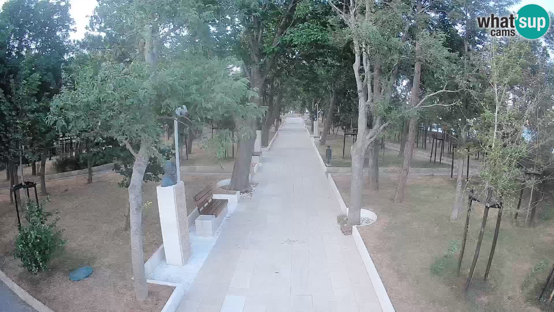 Webcam Parco degli Scrittori Segna – Diretta sul Mare