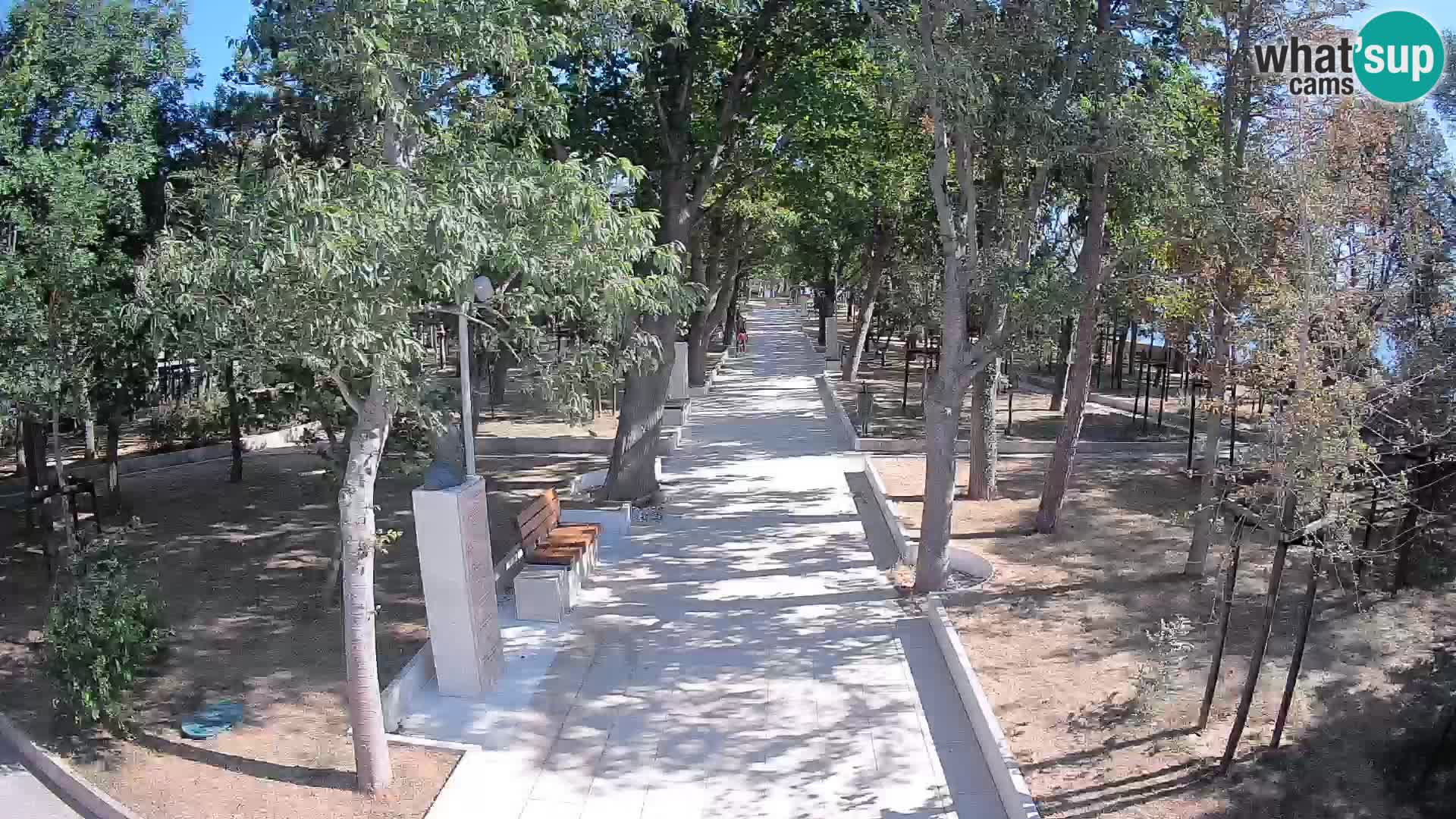 Webcam Parco degli Scrittori Segna – Diretta sul Mare