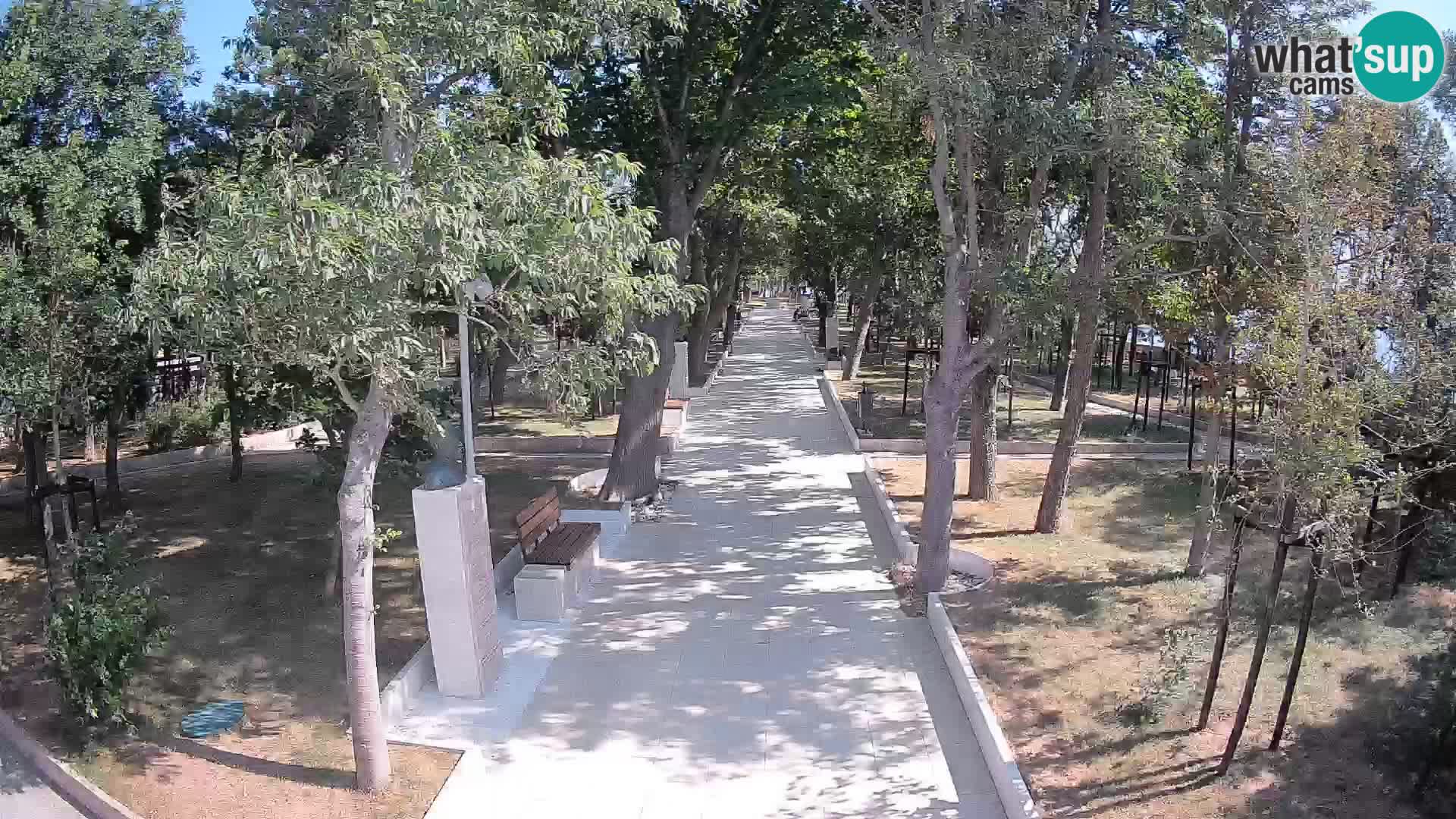 Webcam Parco degli Scrittori Segna – Diretta sul Mare