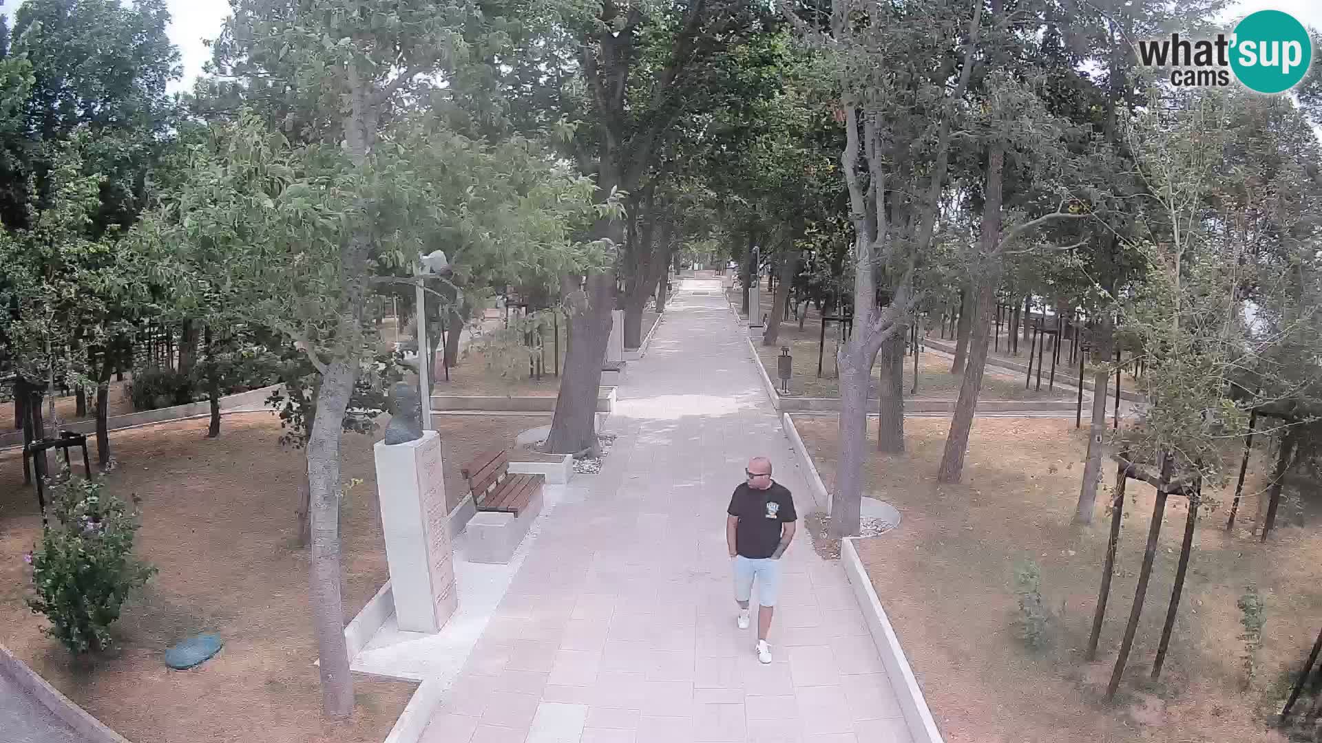 Webcam Parco degli Scrittori Segna – Diretta sul Mare