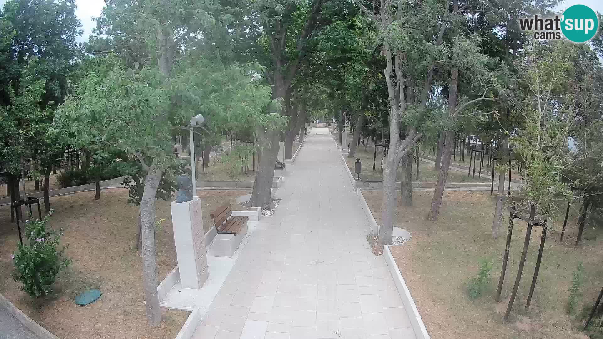 Webcam Parco degli Scrittori Segna – Diretta sul Mare