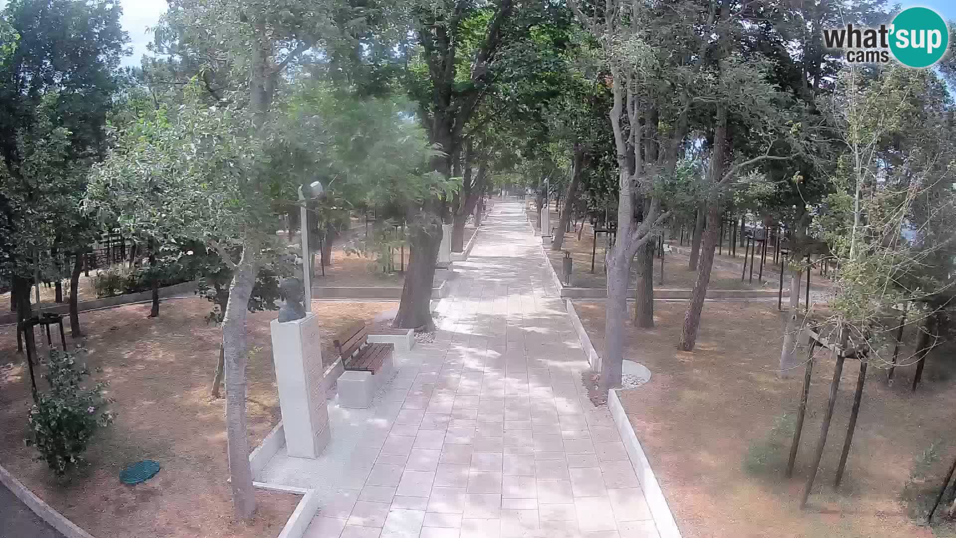 Webcam Schriftstellerpark Senj – Live am Meer