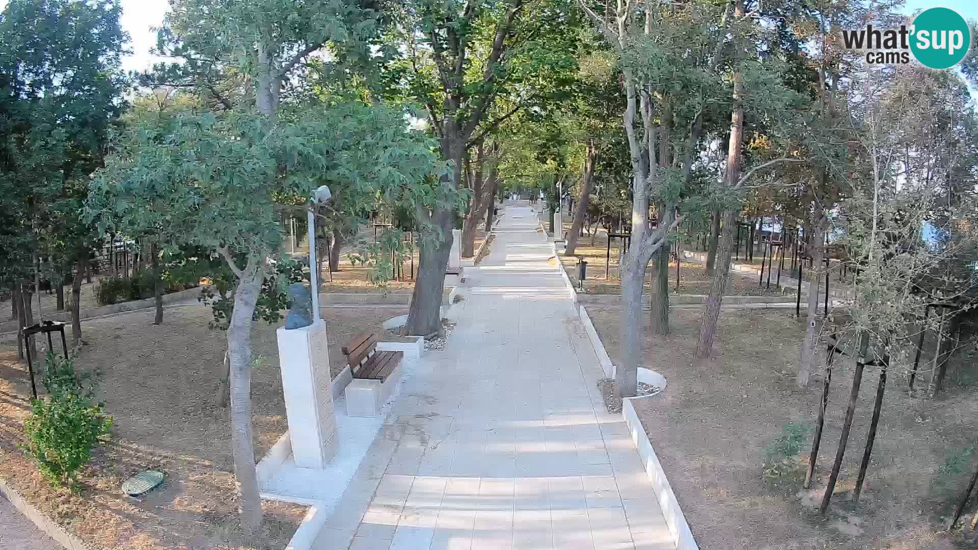 Webcam Parco degli Scrittori Segna – Diretta sul Mare