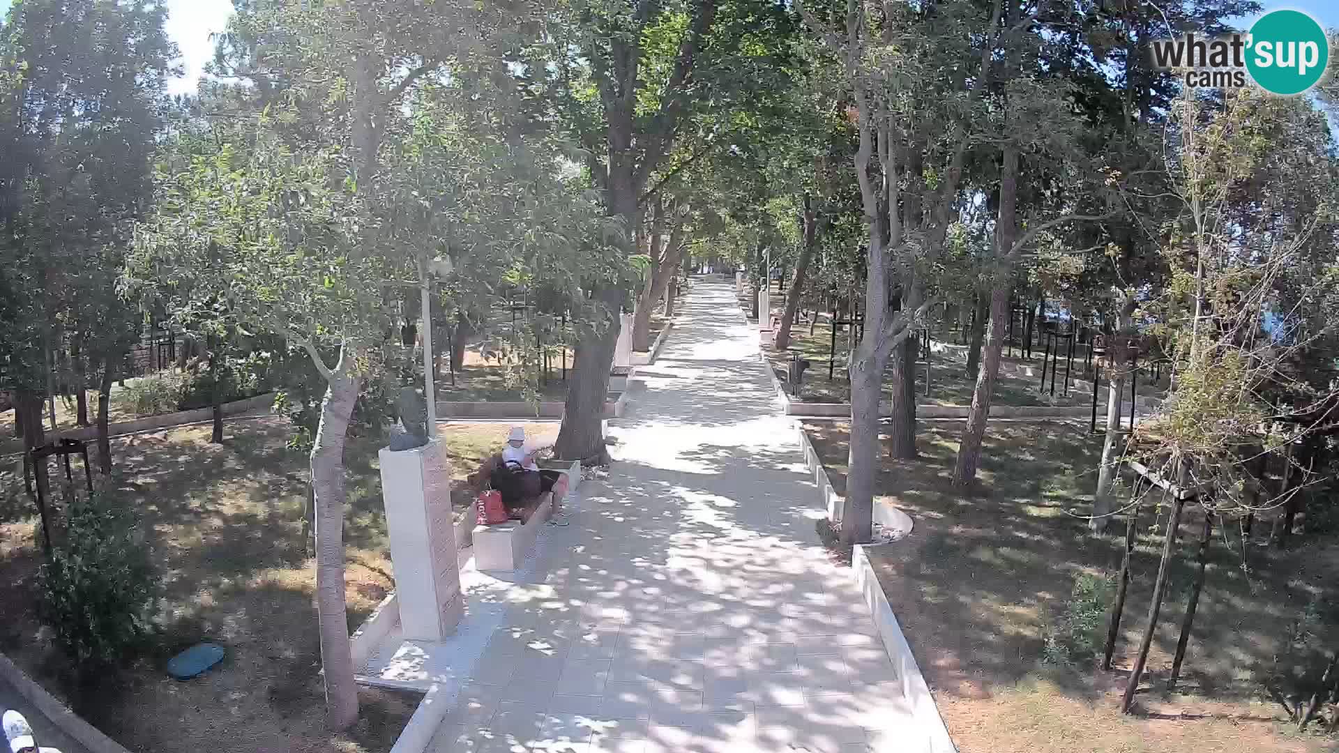 Webcam Parco degli Scrittori Segna – Diretta sul Mare