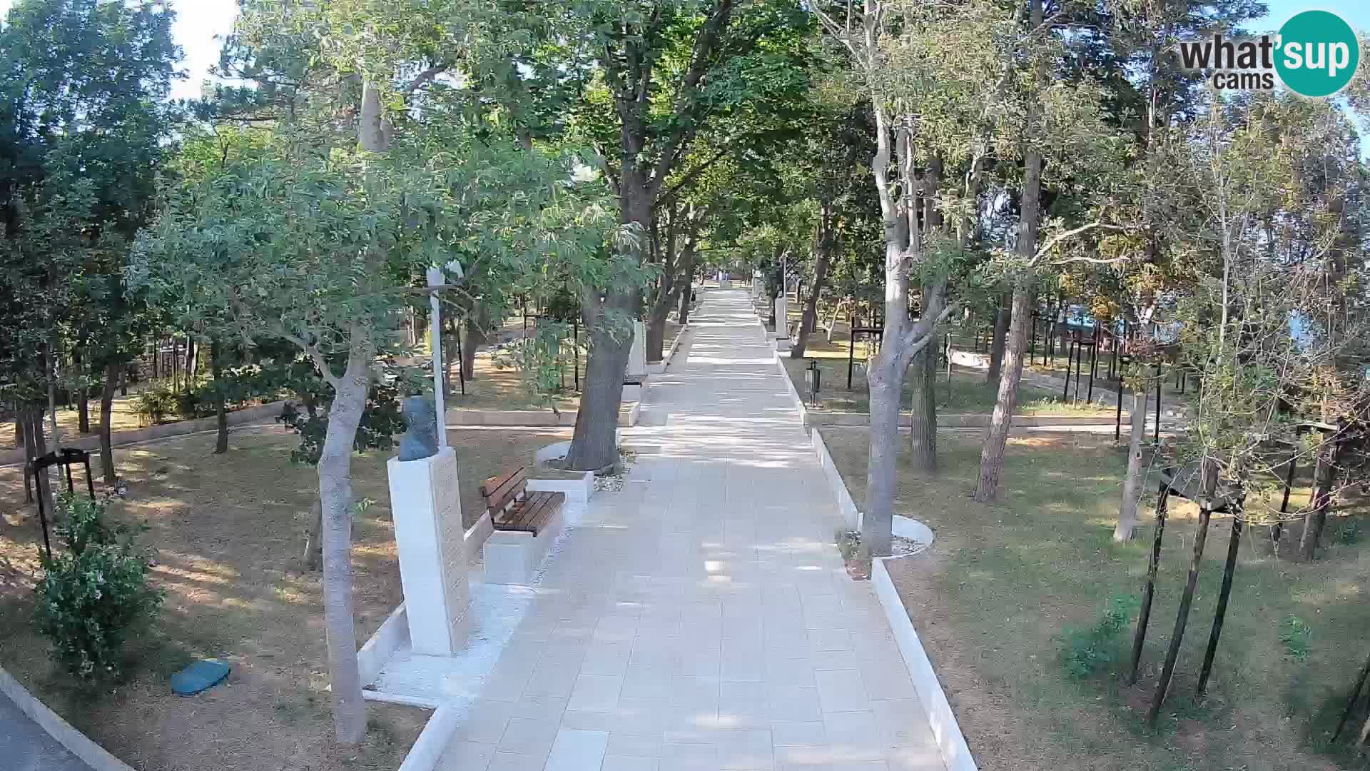 Webcam Parco degli Scrittori Segna – Diretta sul Mare