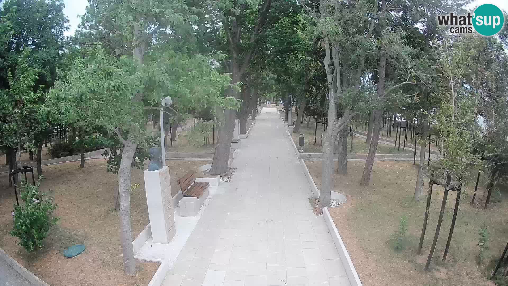 Webcam Parco degli Scrittori Segna – Diretta sul Mare