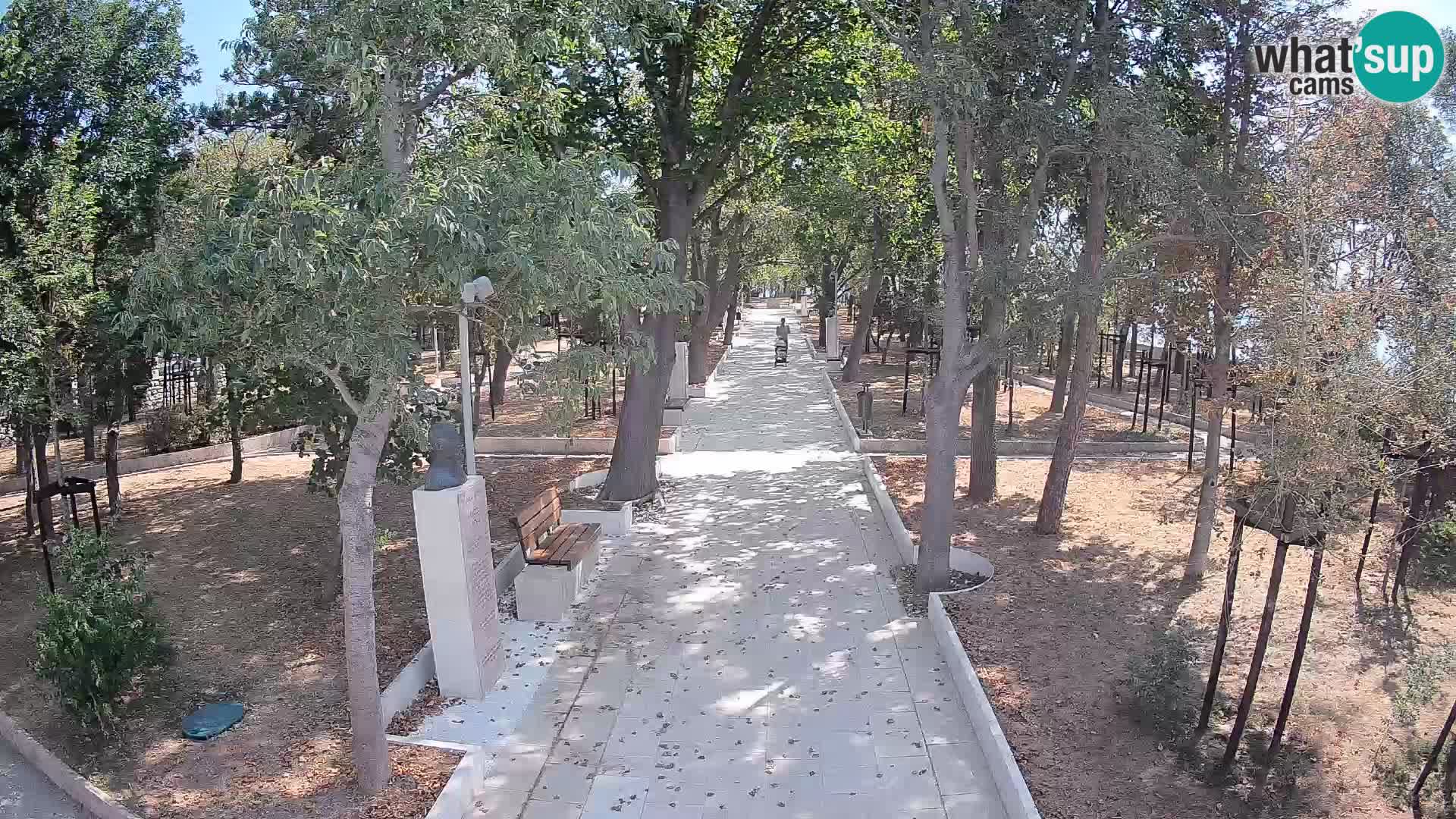 Webcam Parco degli Scrittori Segna – Diretta sul Mare
