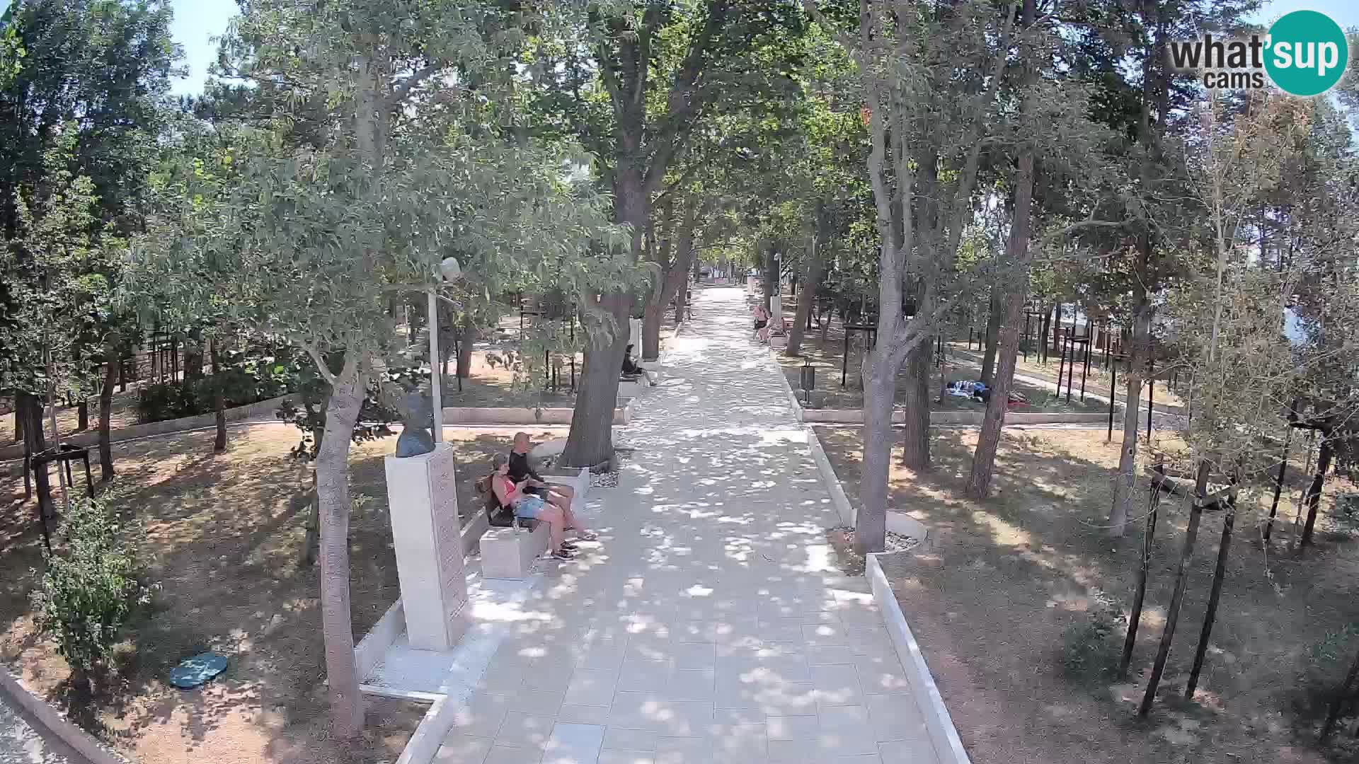 Webcam Parco degli Scrittori Segna – Diretta sul Mare