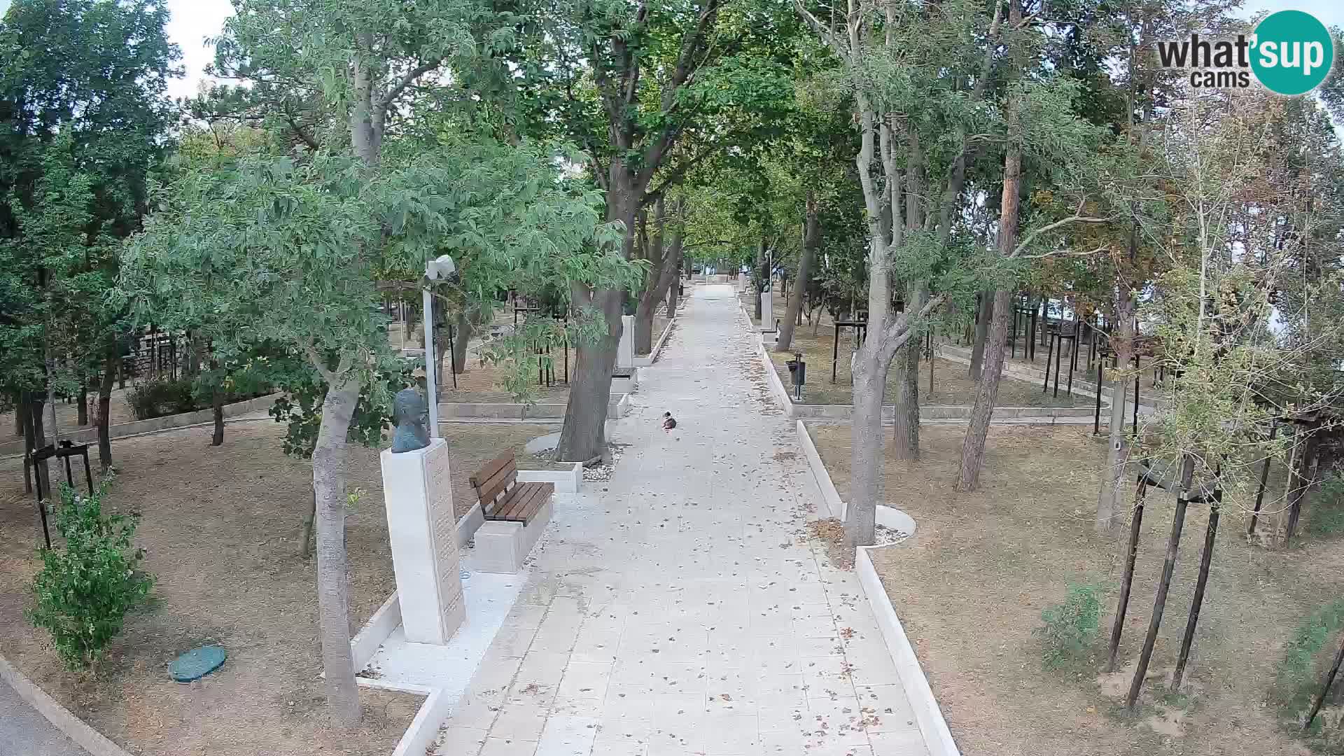 Webcam Schriftstellerpark Senj – Live am Meer