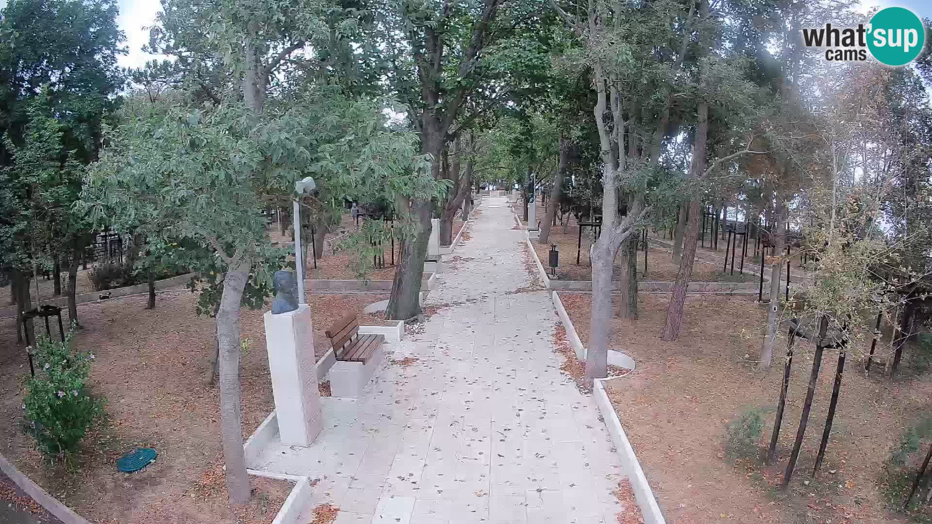 Webcam Parco degli Scrittori Segna – Diretta sul Mare