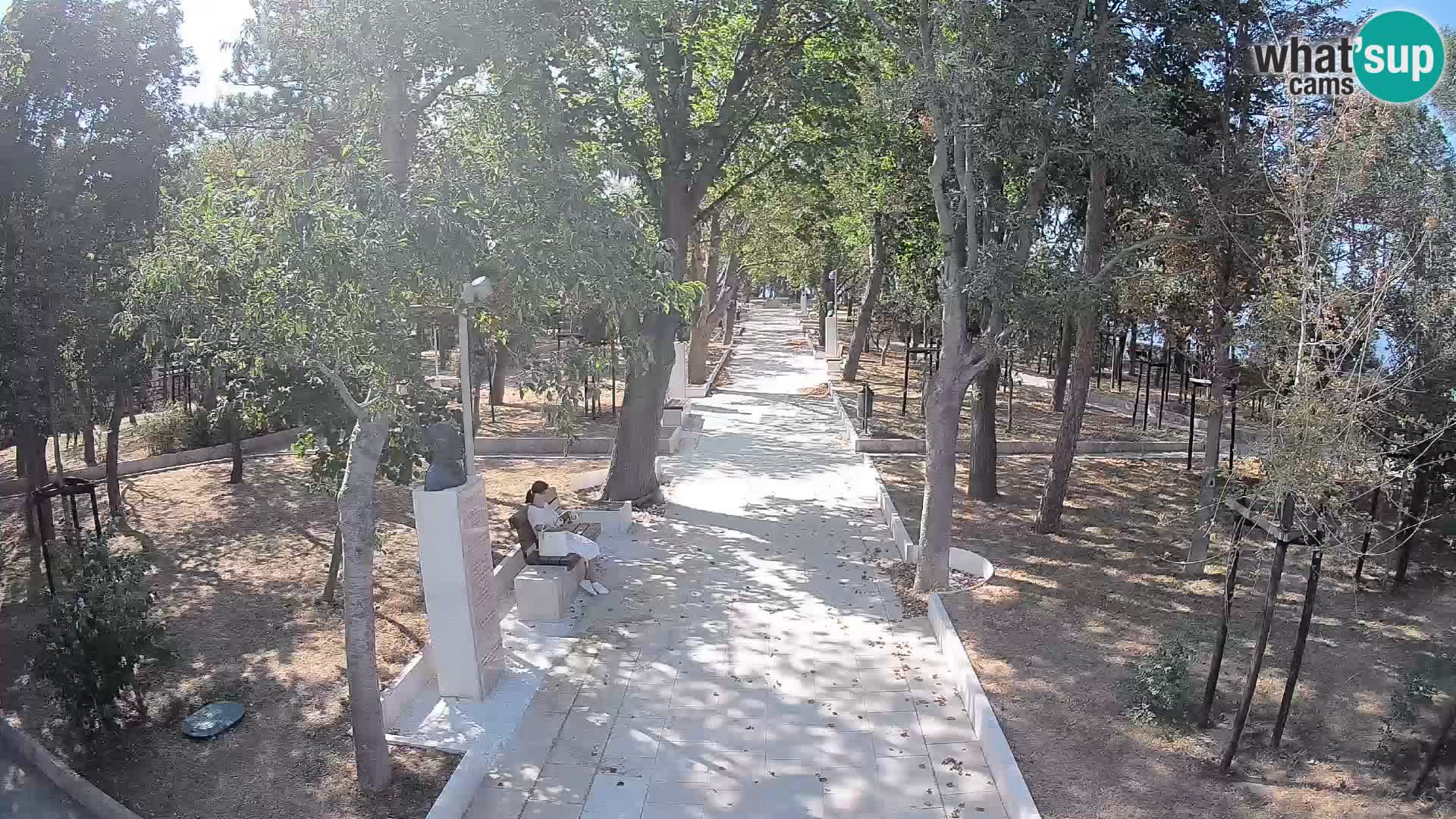 Webcam Parco degli Scrittori Segna – Diretta sul Mare