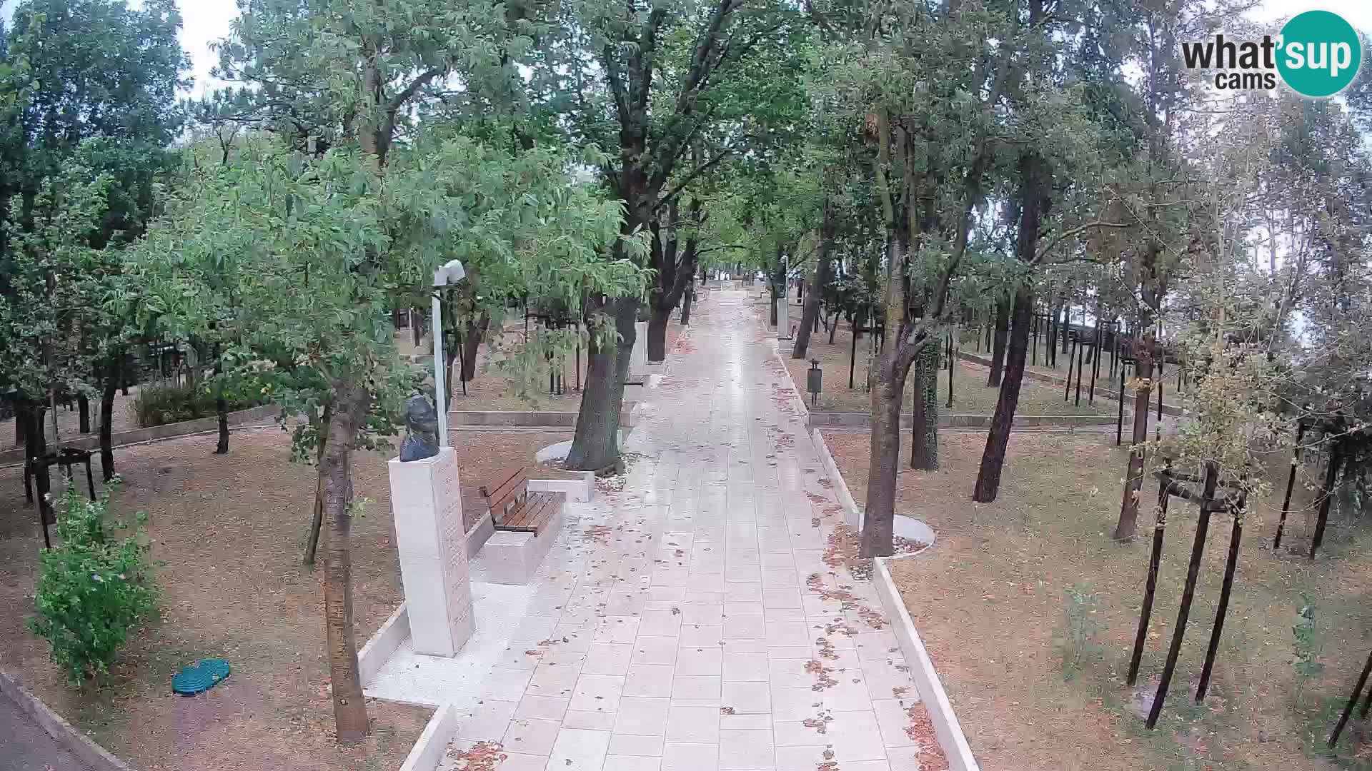 Webcam Parco degli Scrittori Segna – Diretta sul Mare