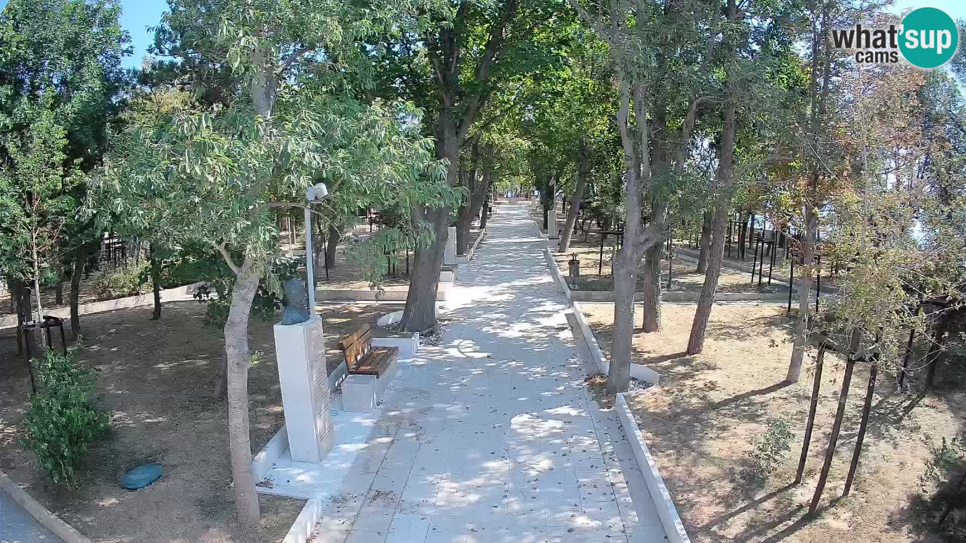 Webcam Parco degli Scrittori Segna – Diretta sul Mare