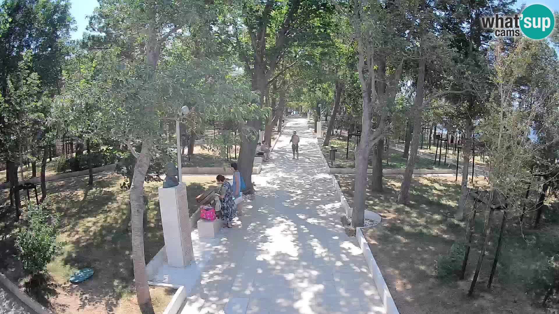 Webcam Parco degli Scrittori Segna – Diretta sul Mare