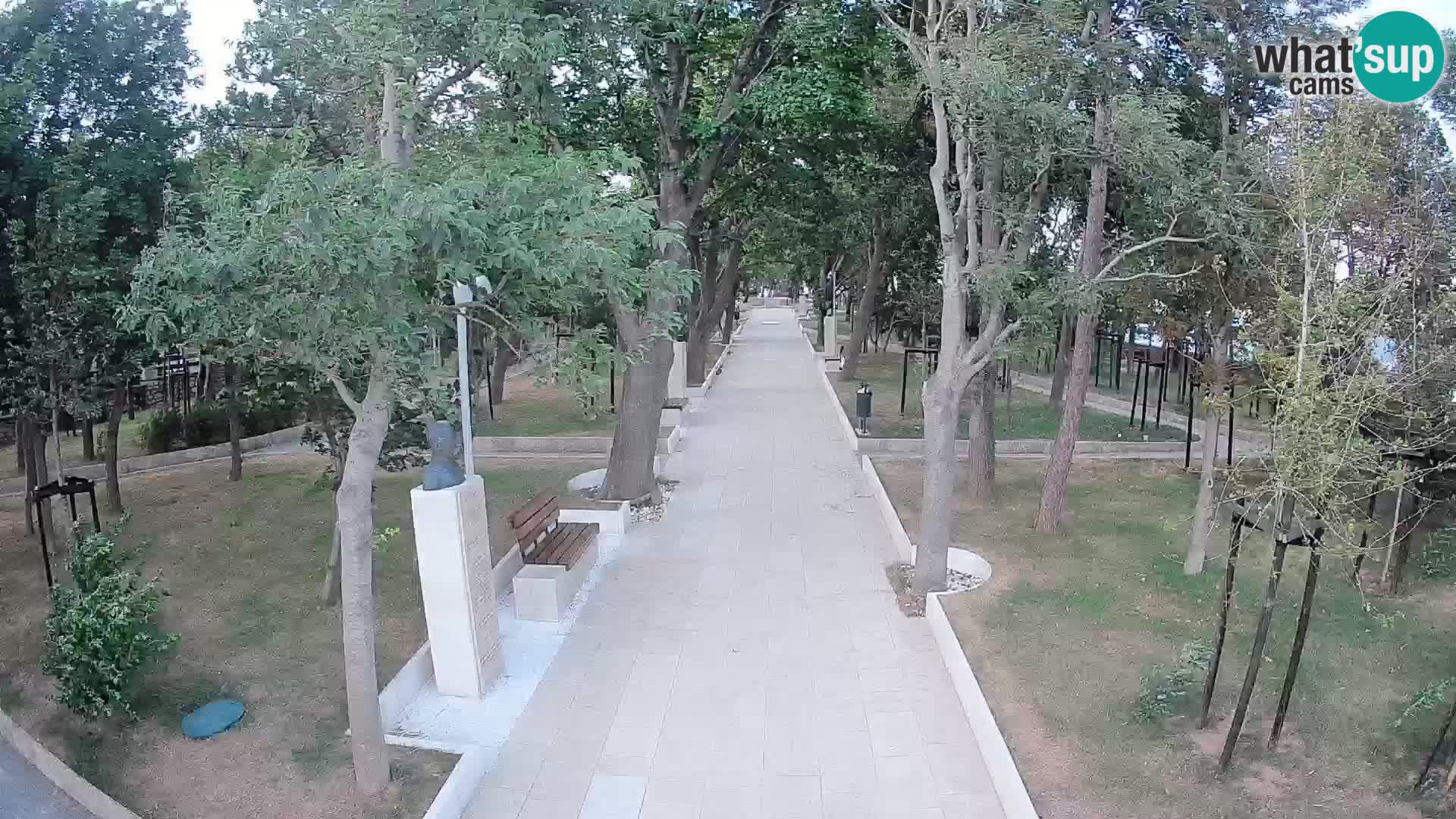 Webcam Parco degli Scrittori Segna – Diretta sul Mare
