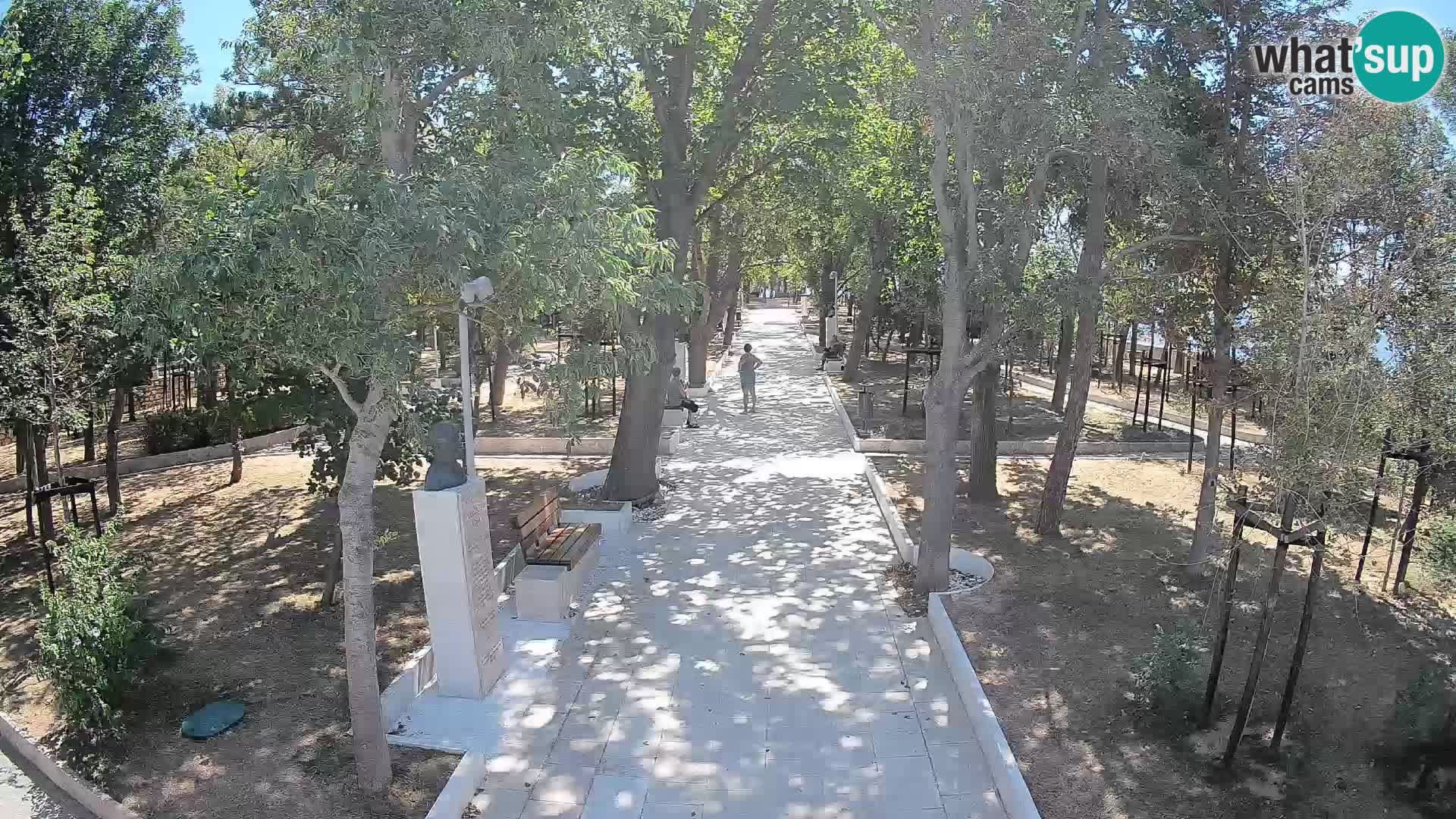 Webcam Parco degli Scrittori Segna – Diretta sul Mare