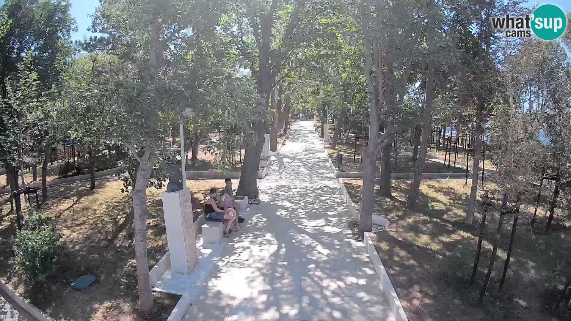 Webcam Parco degli Scrittori Segna – Diretta sul Mare