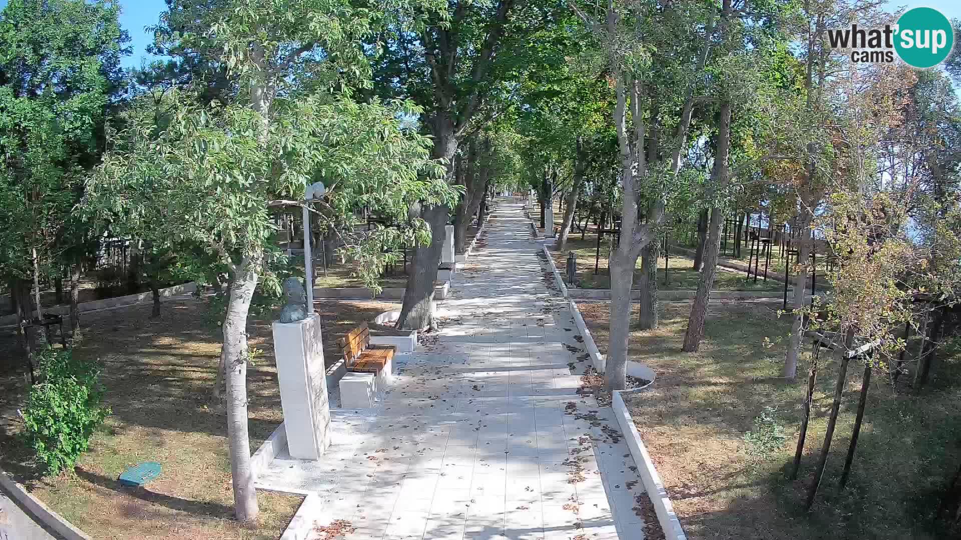 Webcam Parco degli Scrittori Segna – Diretta sul Mare
