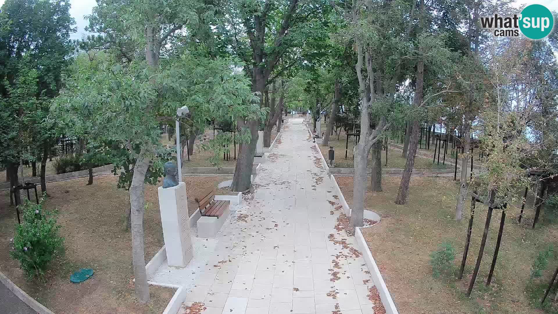 Webcam Parco degli Scrittori Segna – Diretta sul Mare