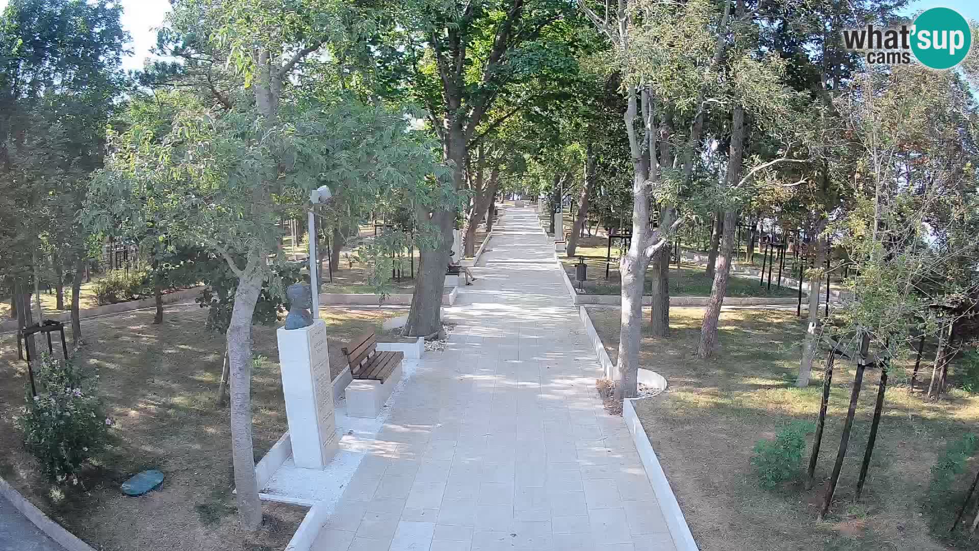 Webcam Parco degli Scrittori Segna – Diretta sul Mare