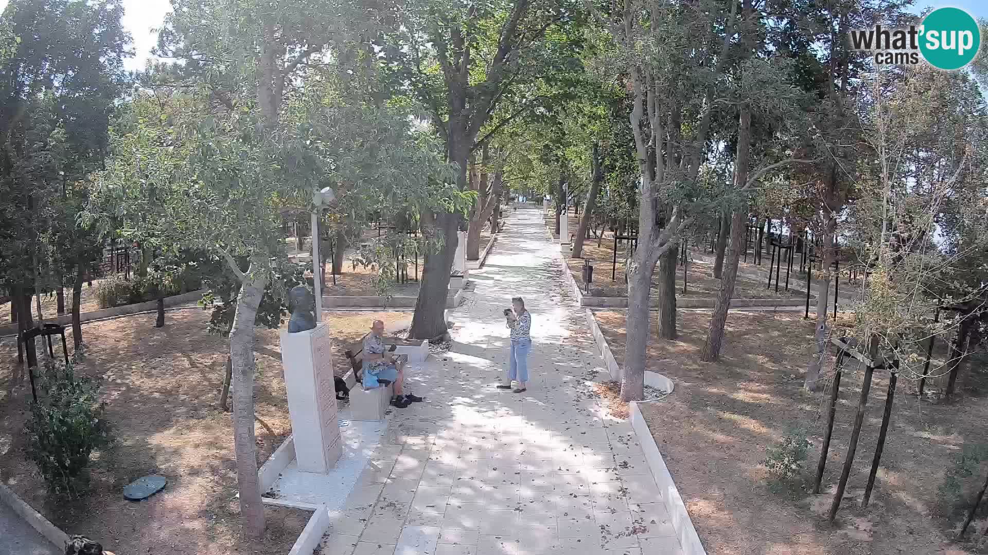 Webcam Parco degli Scrittori Segna – Diretta sul Mare